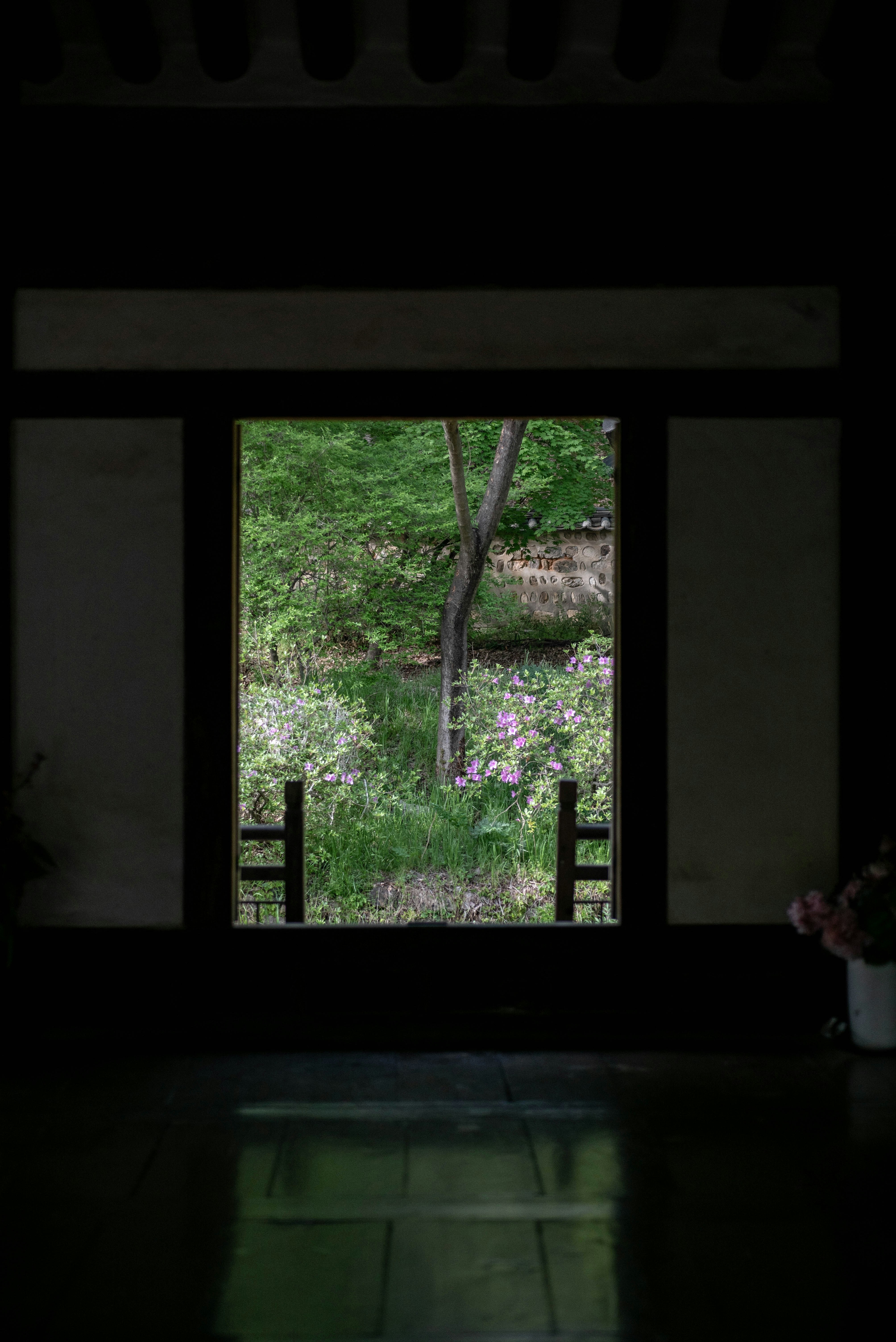 Photo by rays_pickpic