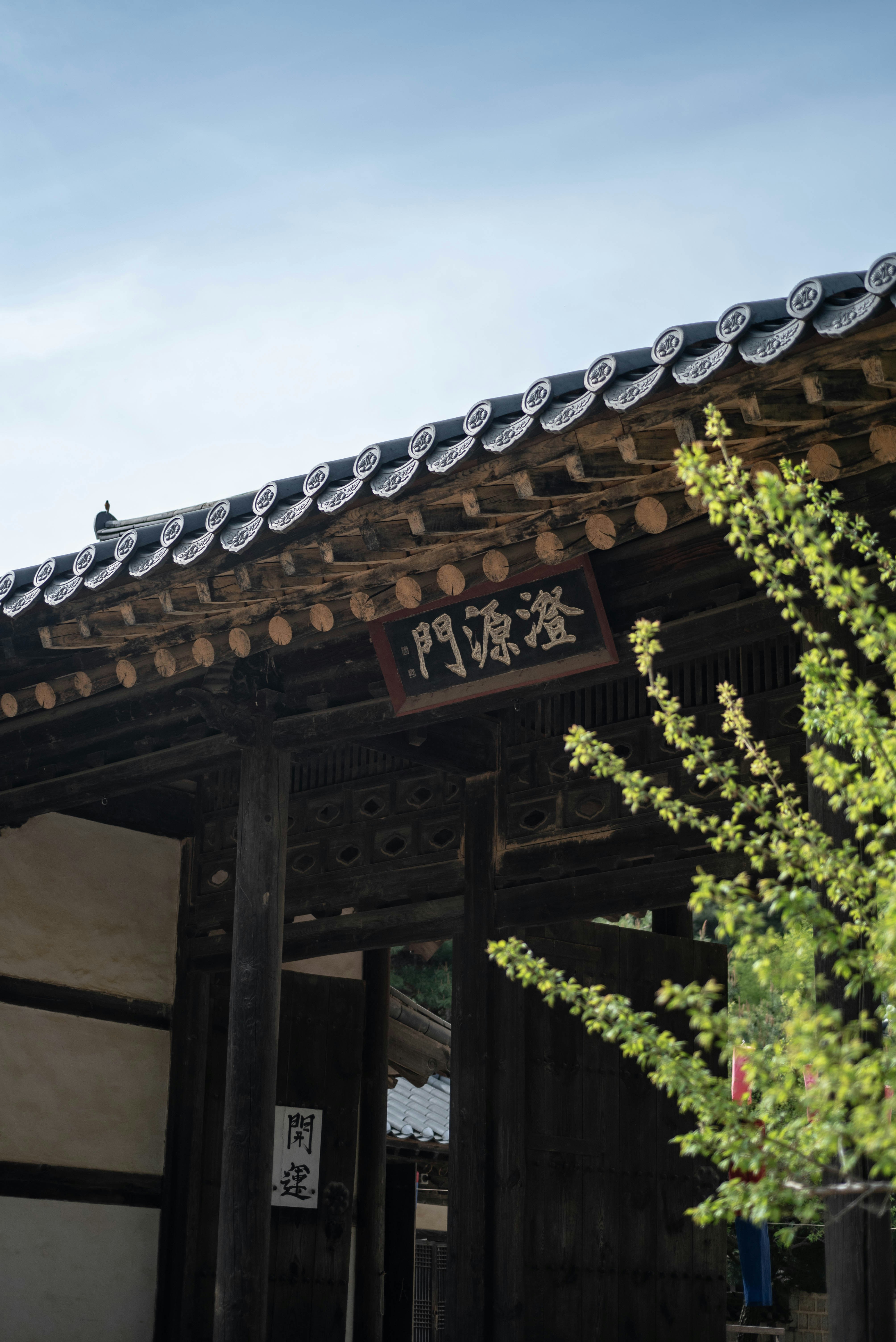 Photo by rays_pickpic