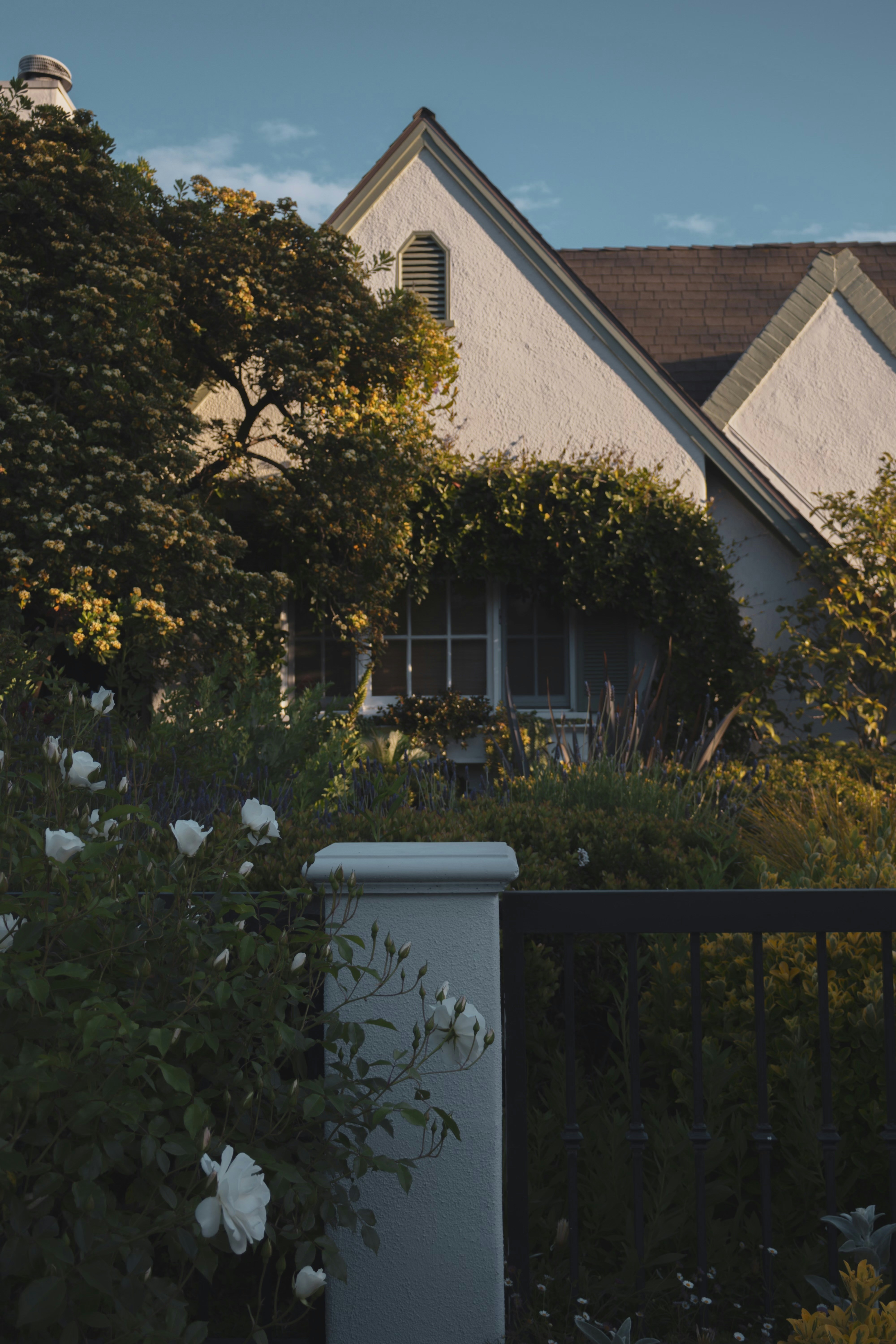 Photo by davidmkrtch