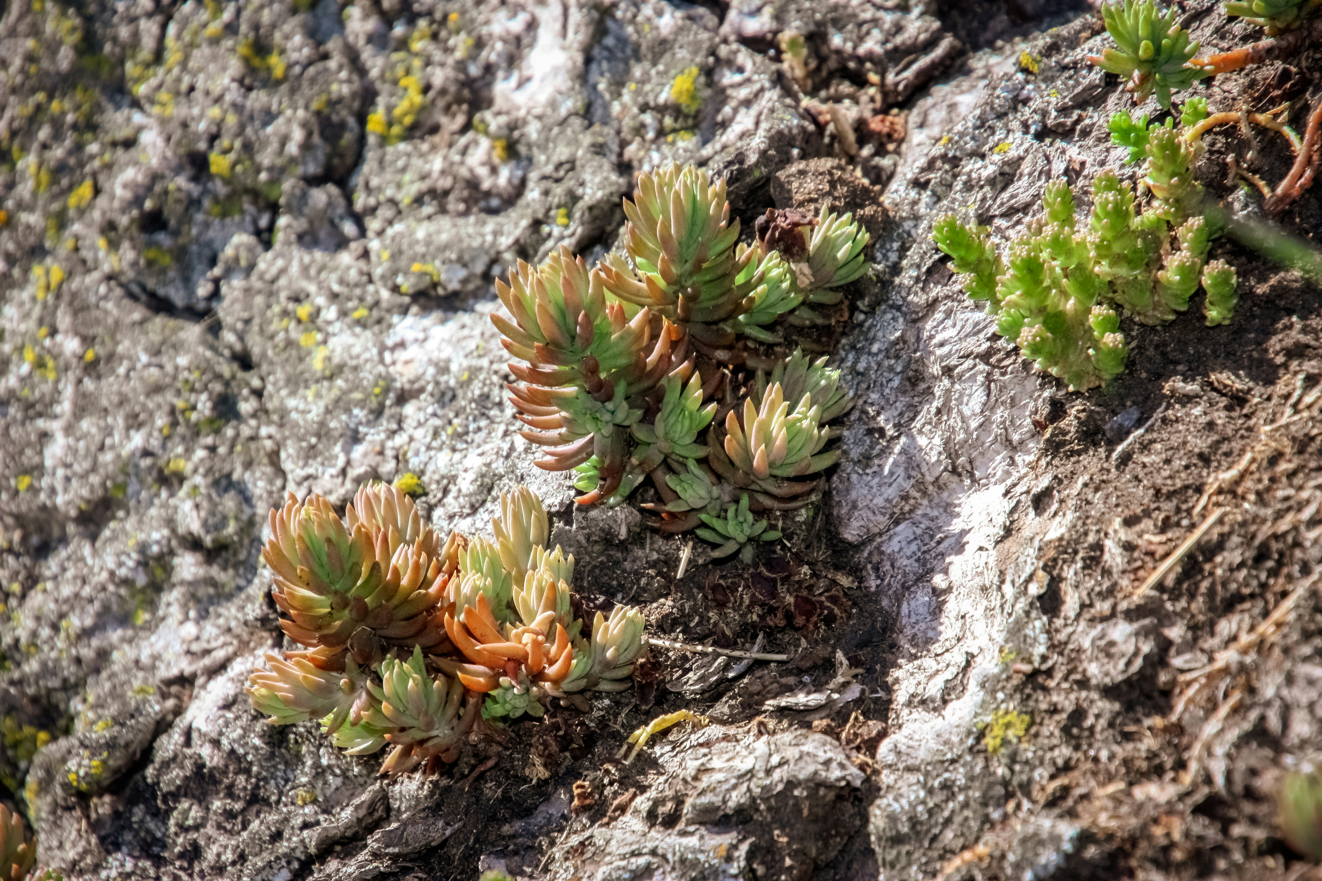 Photo by anthonyaird