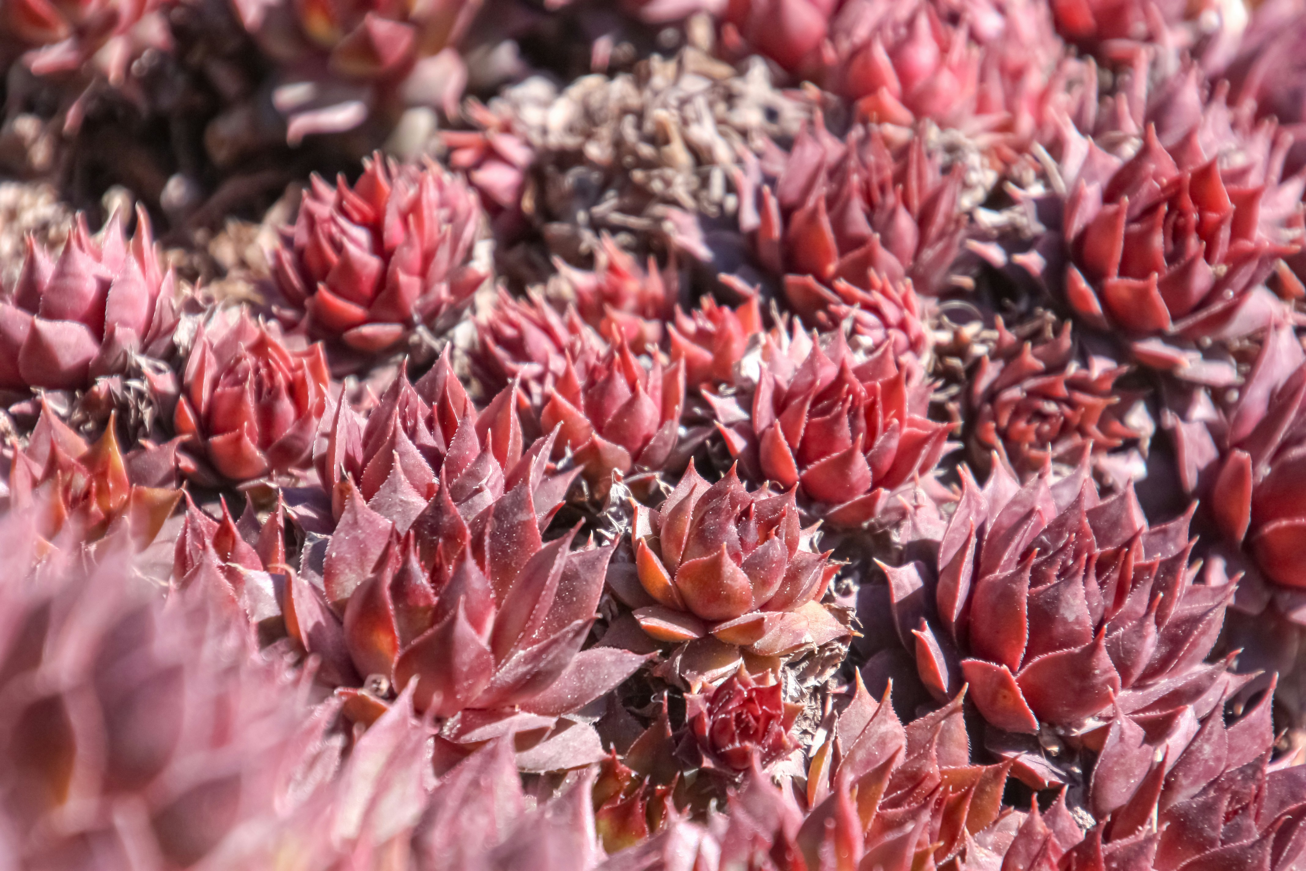 Photo by anthonyaird