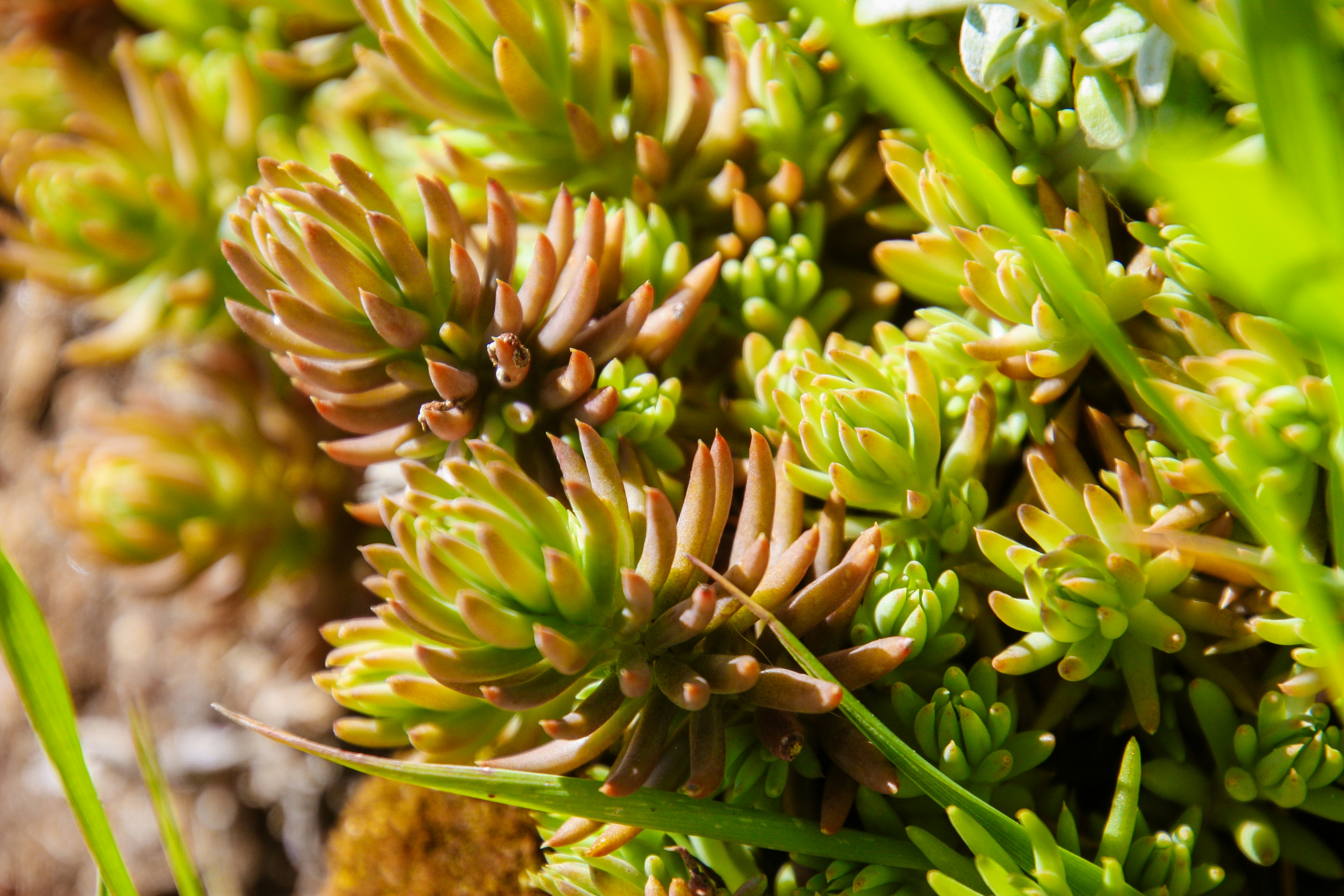 Photo by anthonyaird