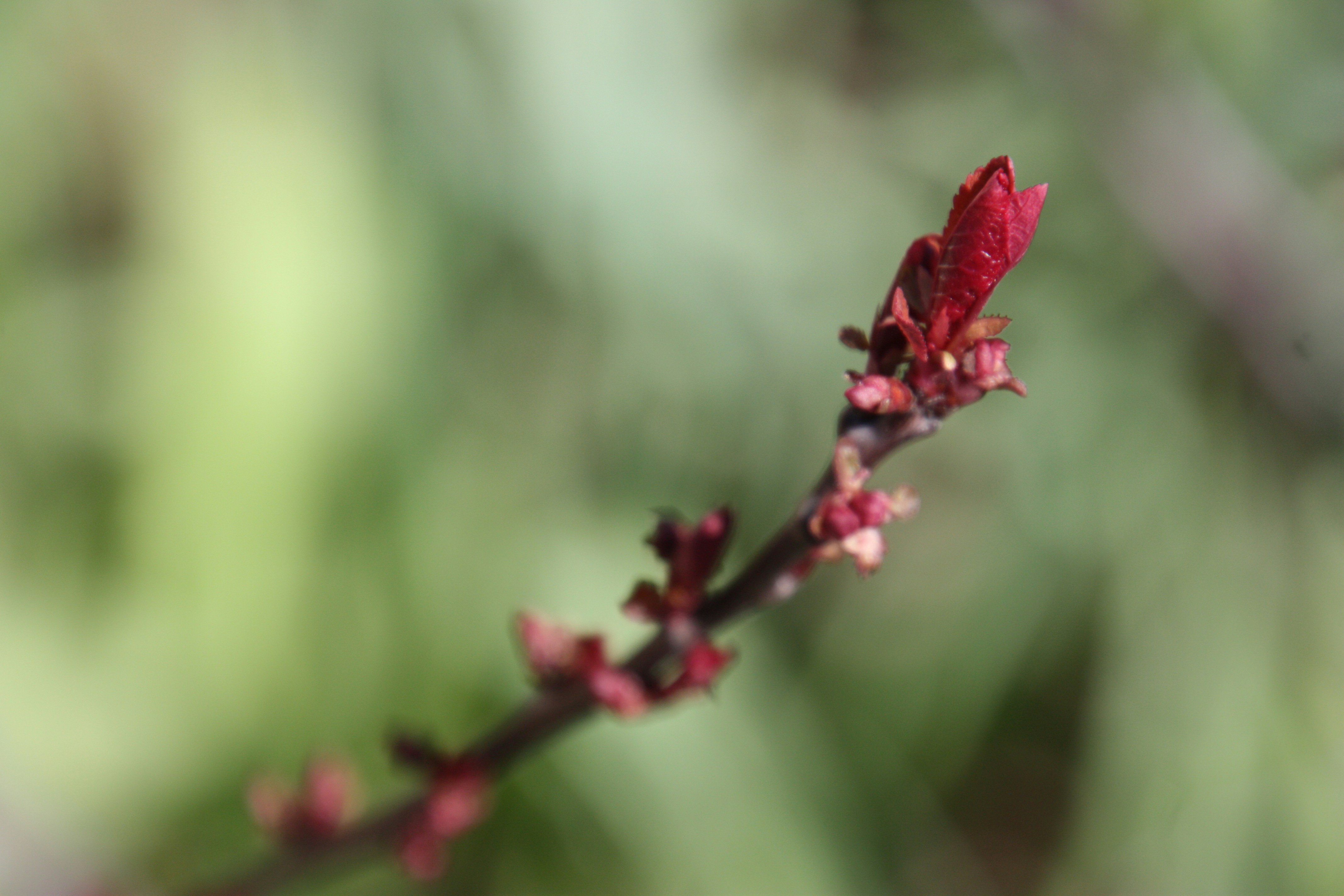 Photo by anthonyaird