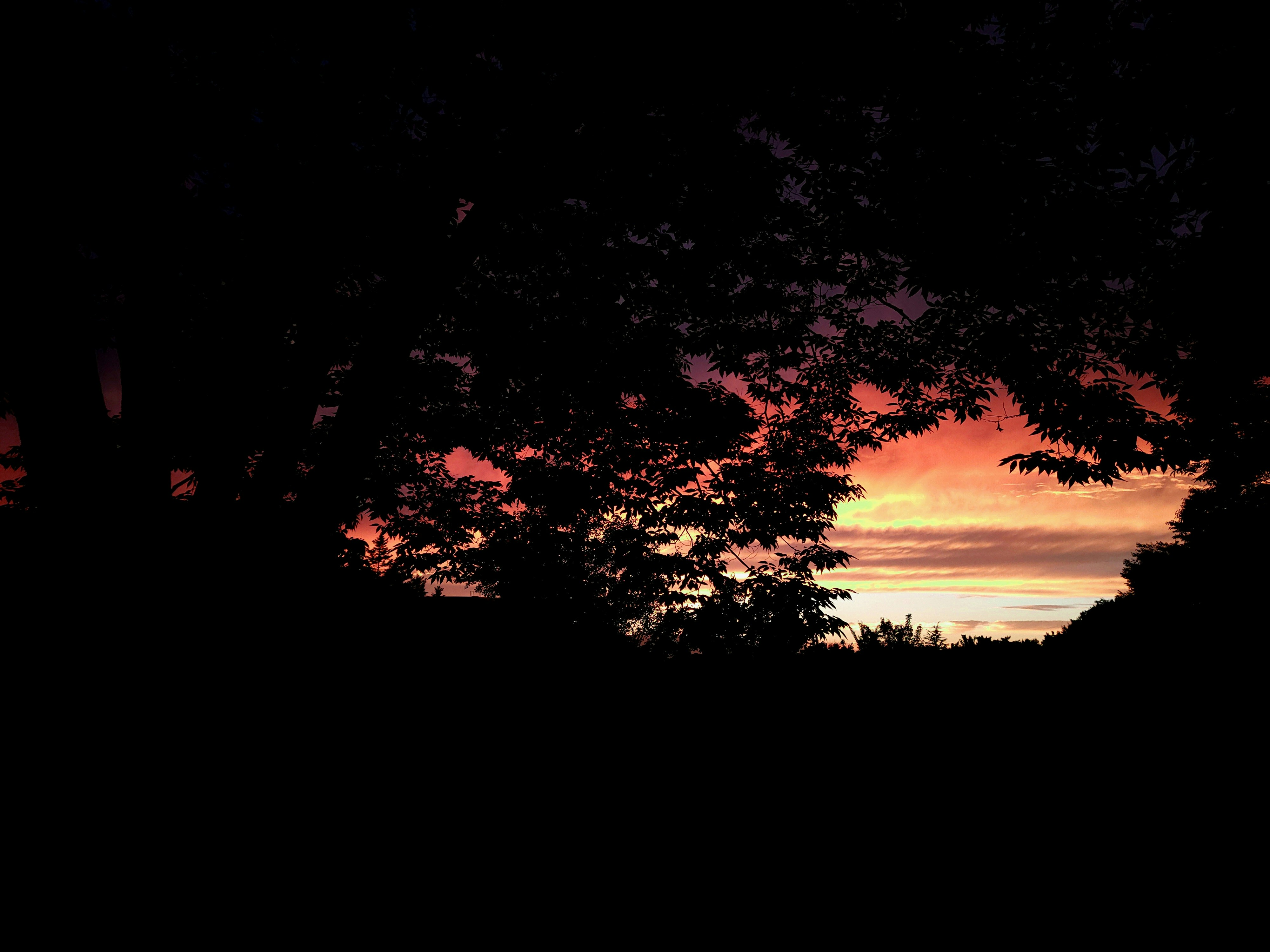 Photo by memenito_96