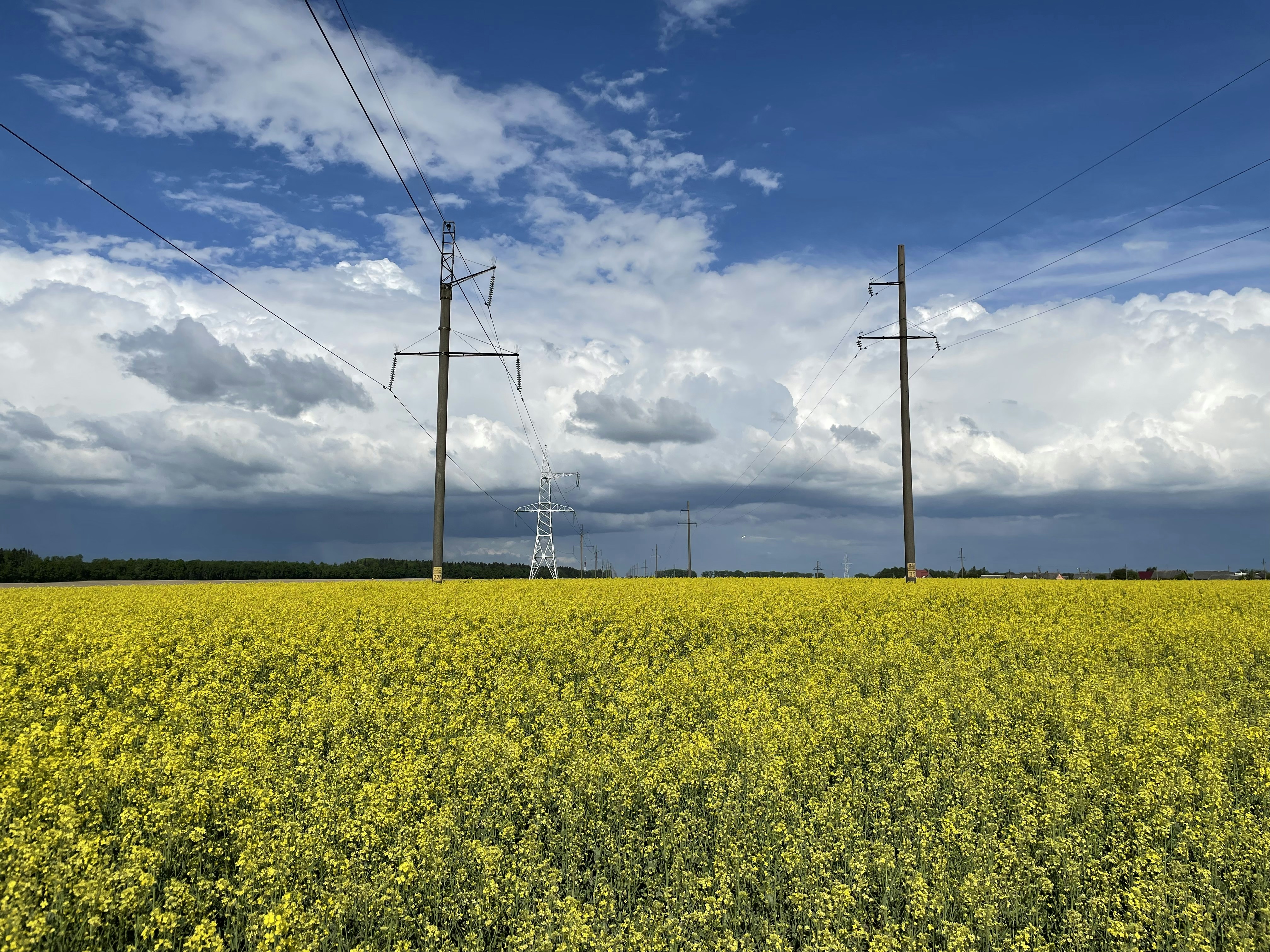 Photo by divine_rapier