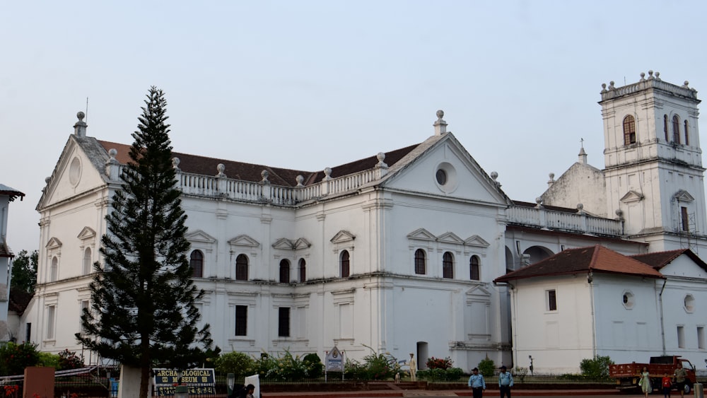 a large white building with a tall tree in front of it