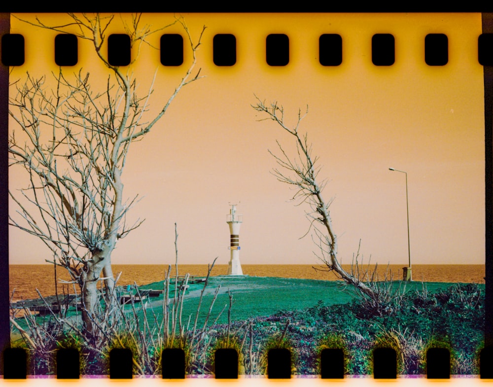a polaroid photo of a lighthouse and trees