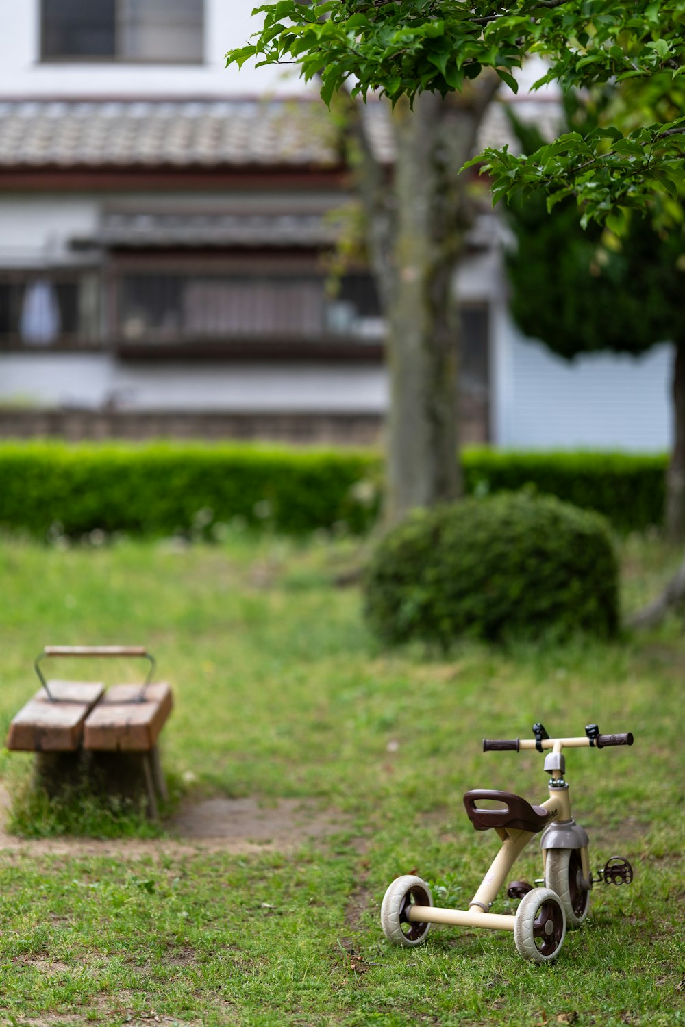 a scooter and a bench in a park