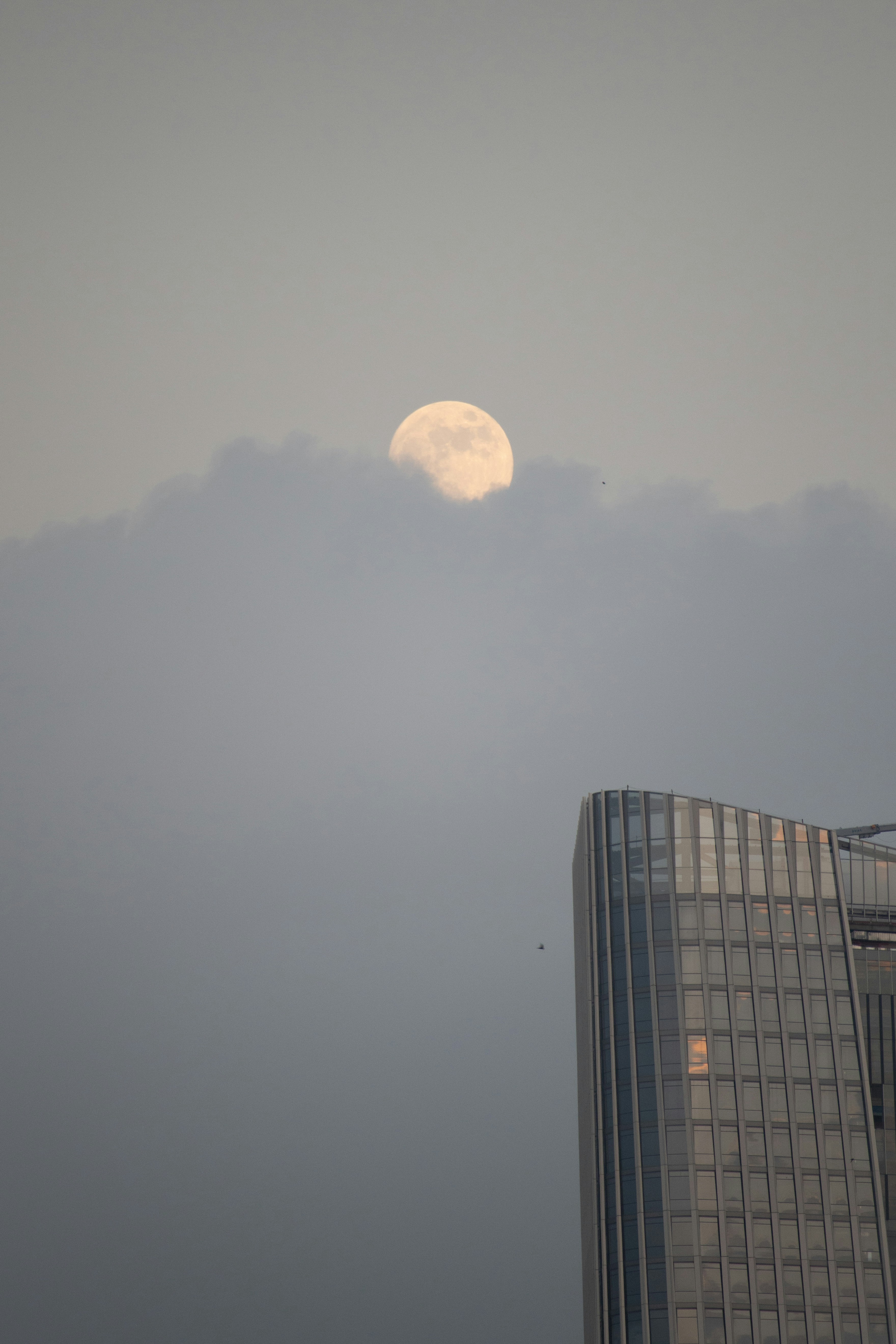 A very tall building with a very large moon in the sky photo – Free ...
