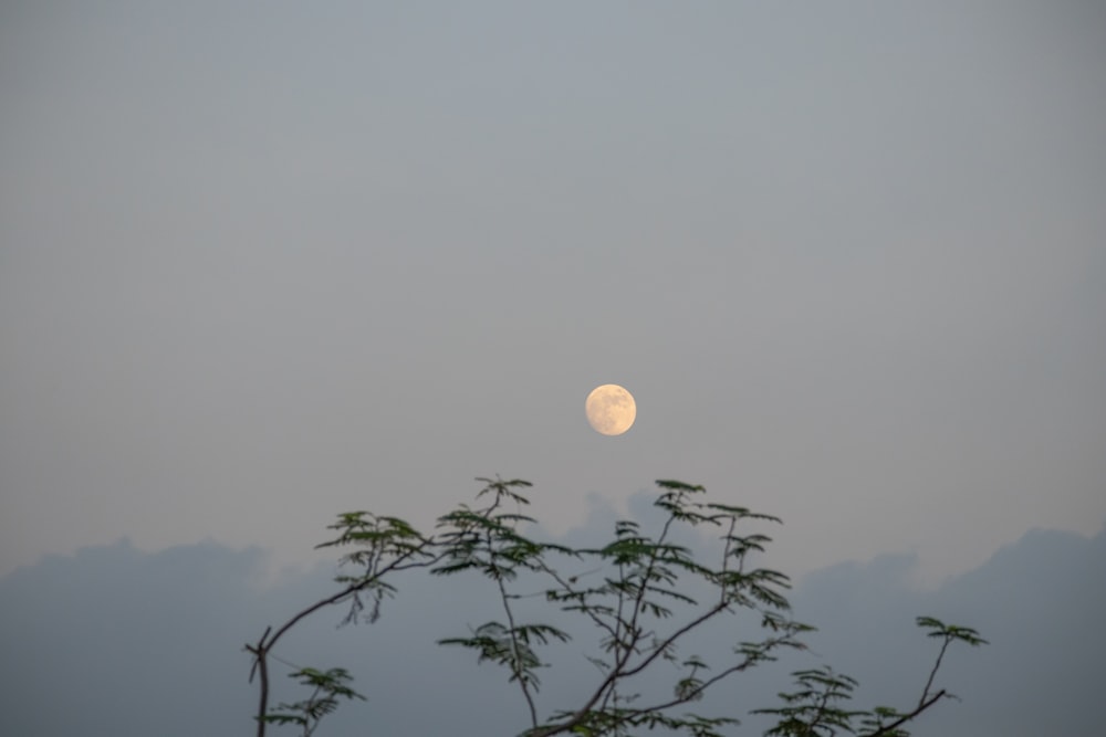 a full moon is seen through the clouds