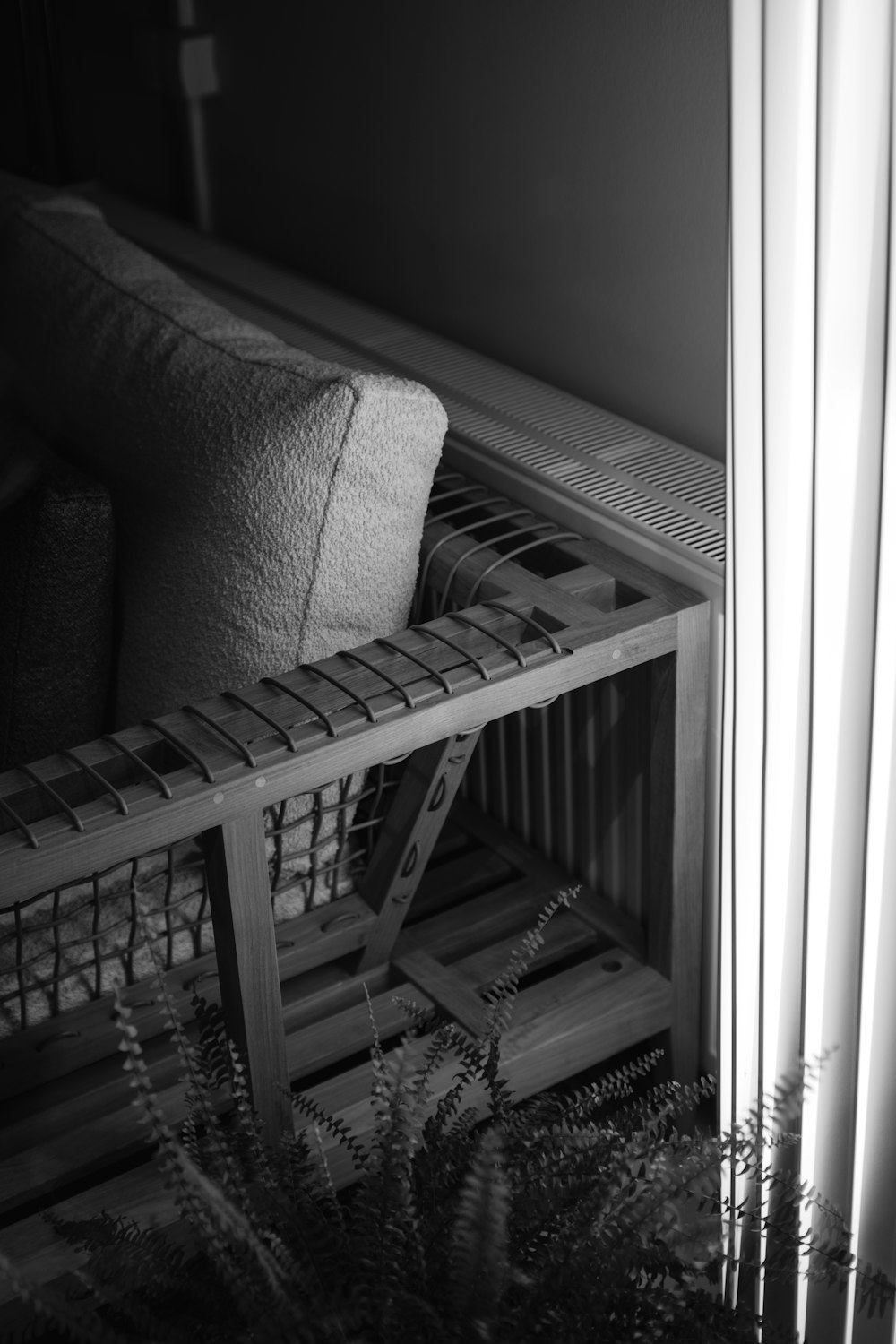 a black and white photo of a bench and a plant