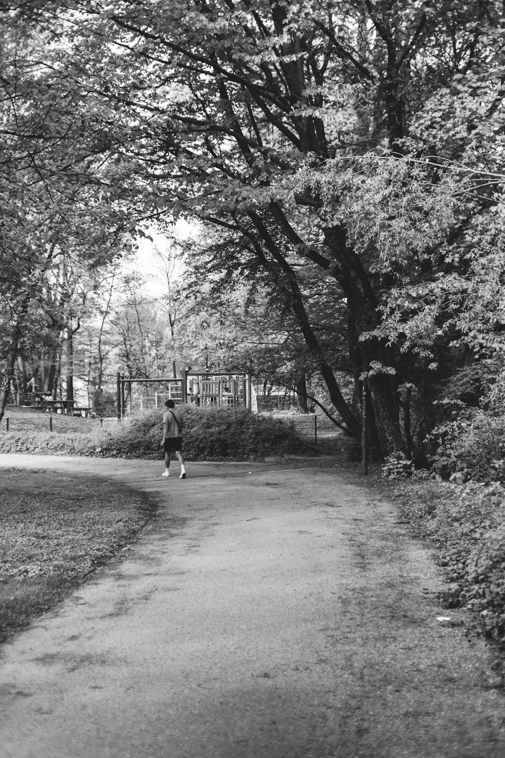 a person walking down a path in a park