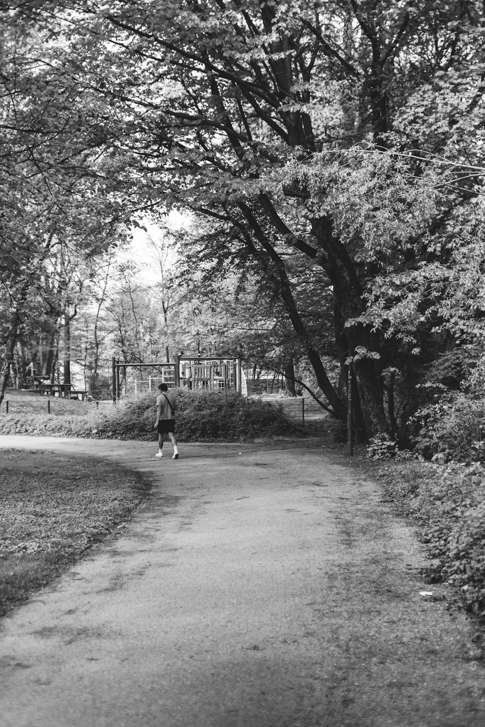 una persona che cammina lungo un sentiero in un parco
