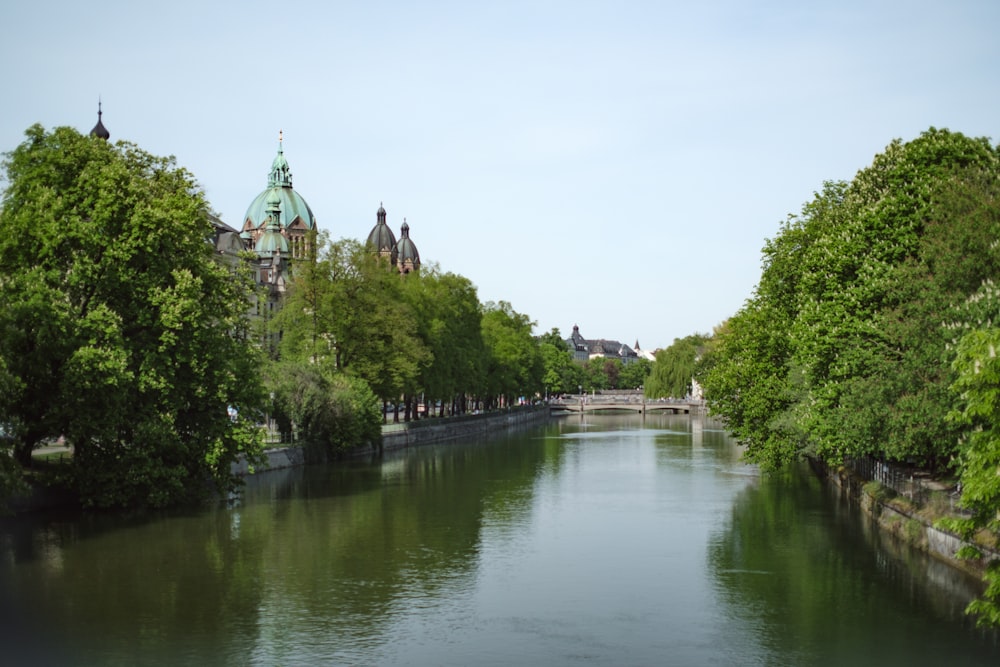 a river running through a lush green forest