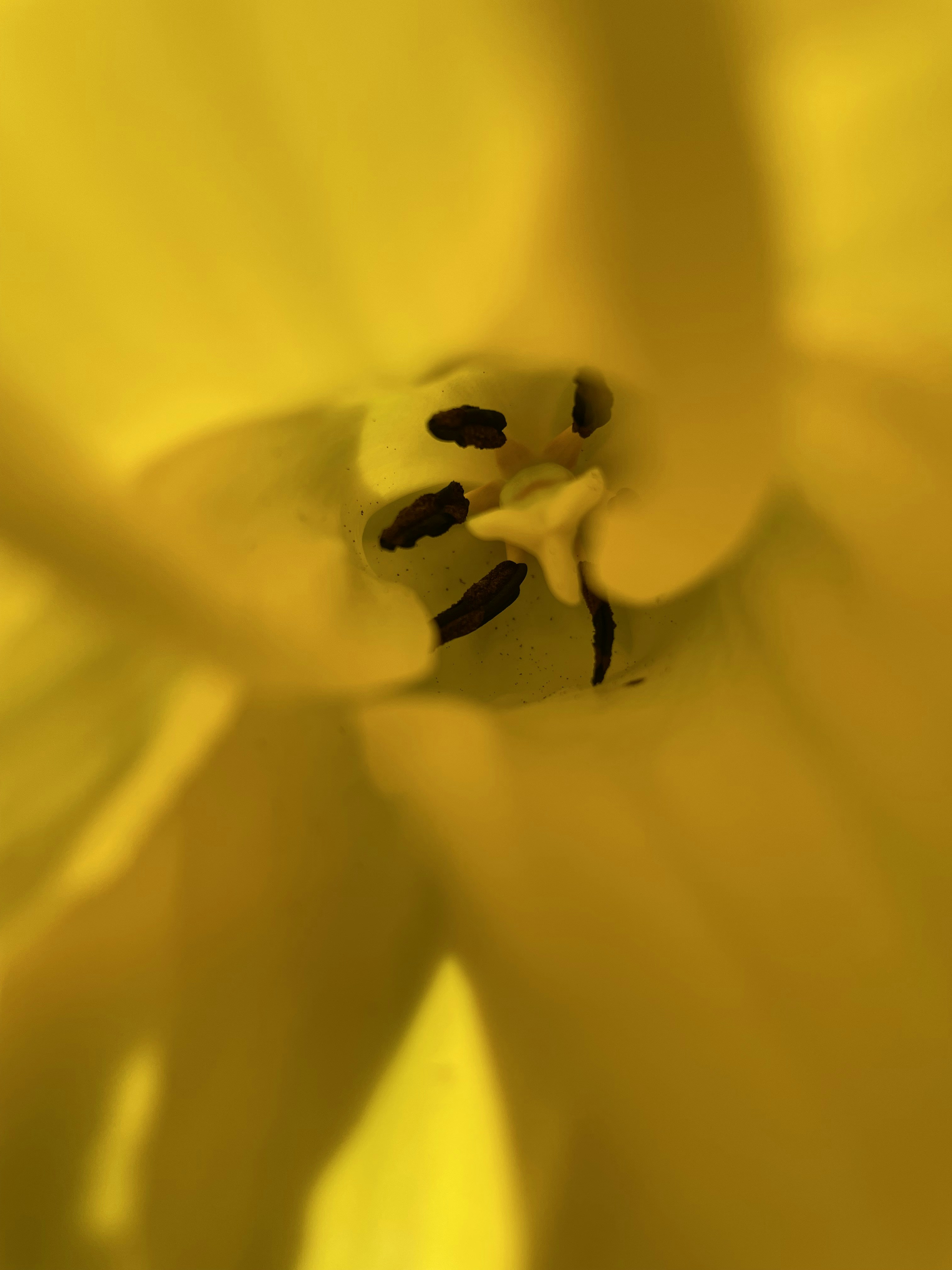 Photo by gentbeeldiggunthergoedertier