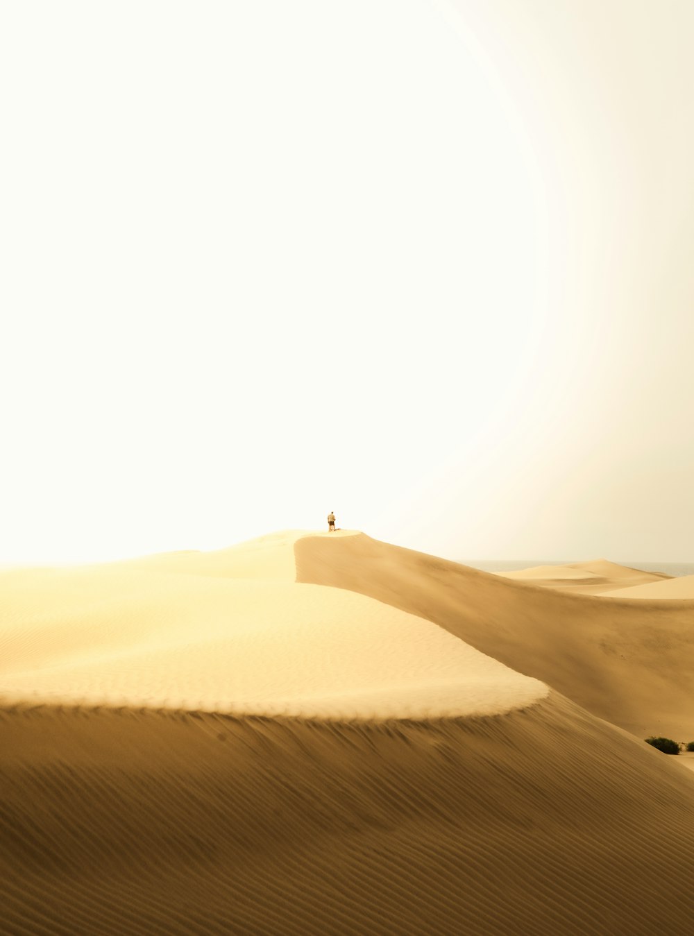 a person standing on top of a sand dune