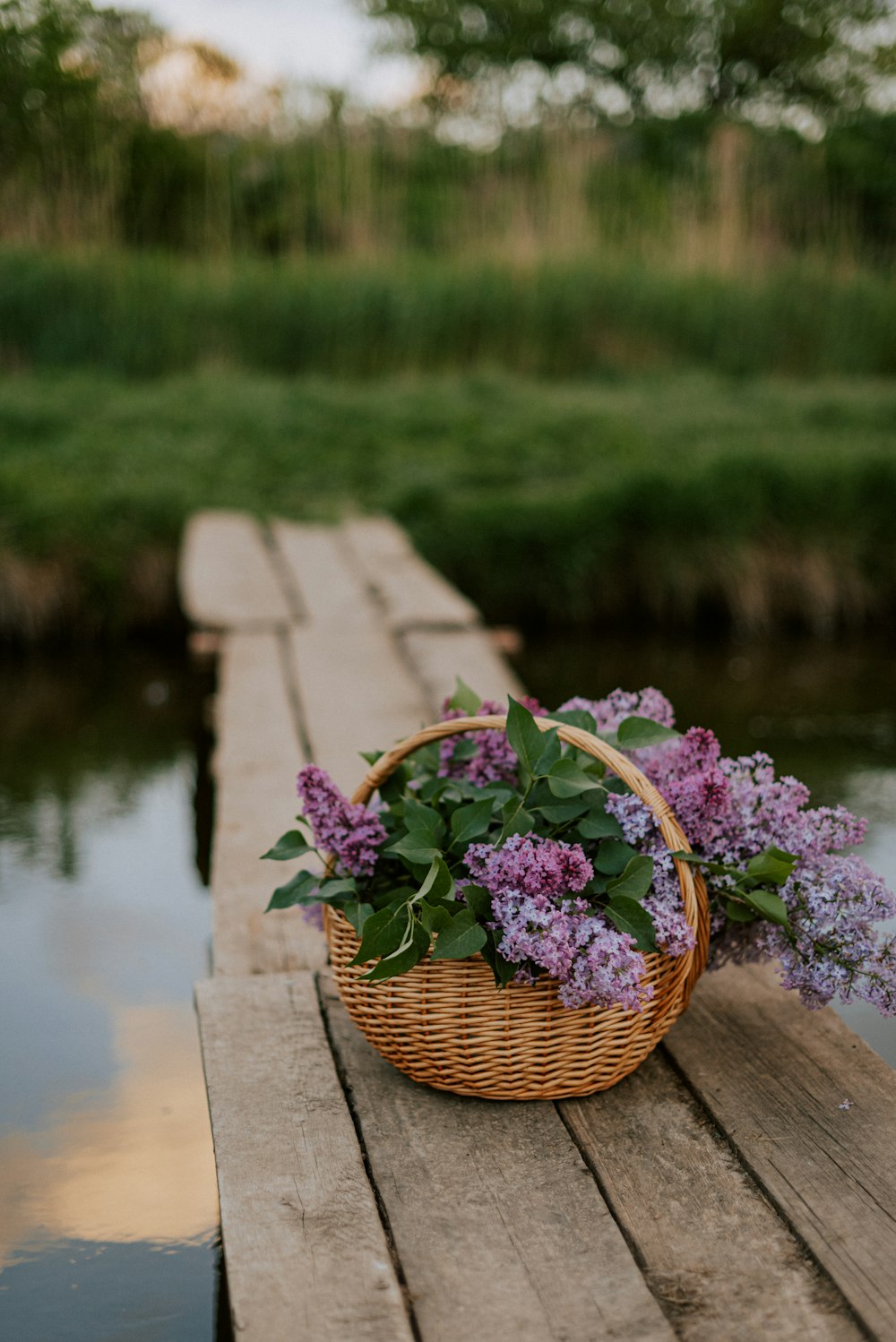 a basket of flowers sitting on a wooden dock