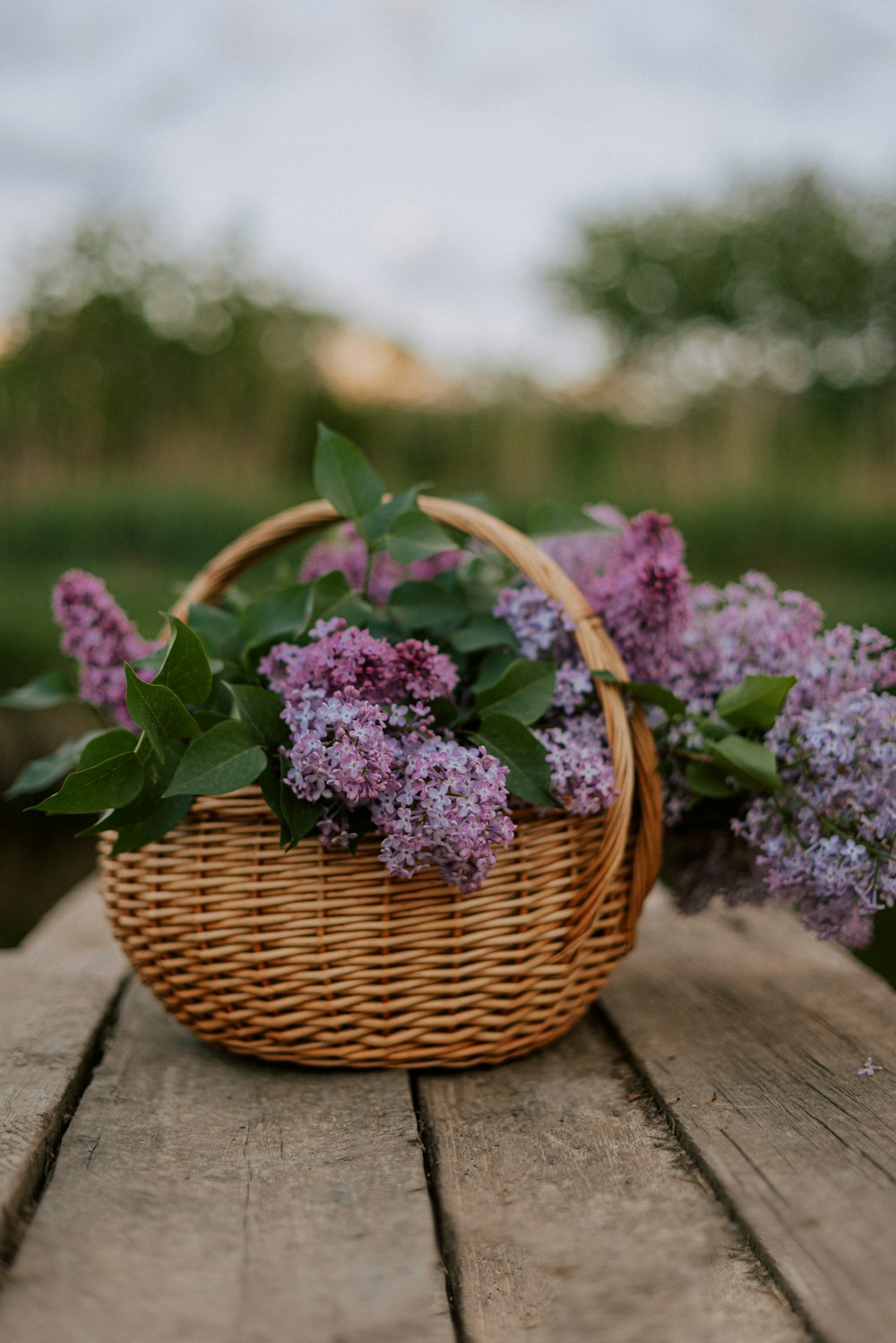 a wicker basket filled with purple flowers on top of a wooden table