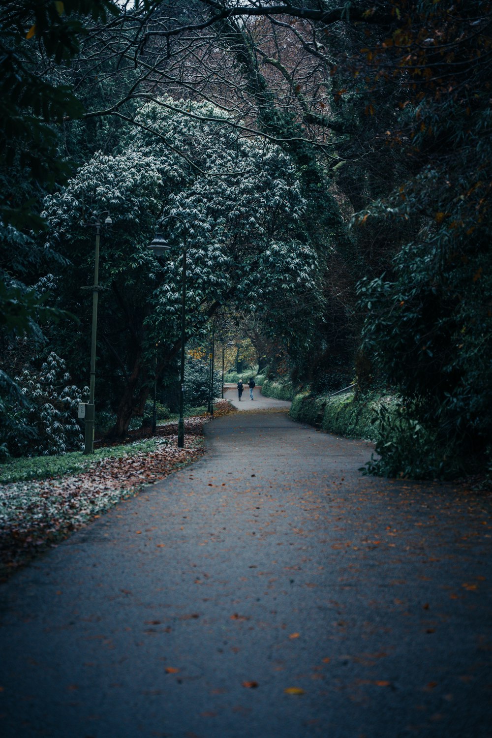 une personne marchant sur un sentier dans un parc