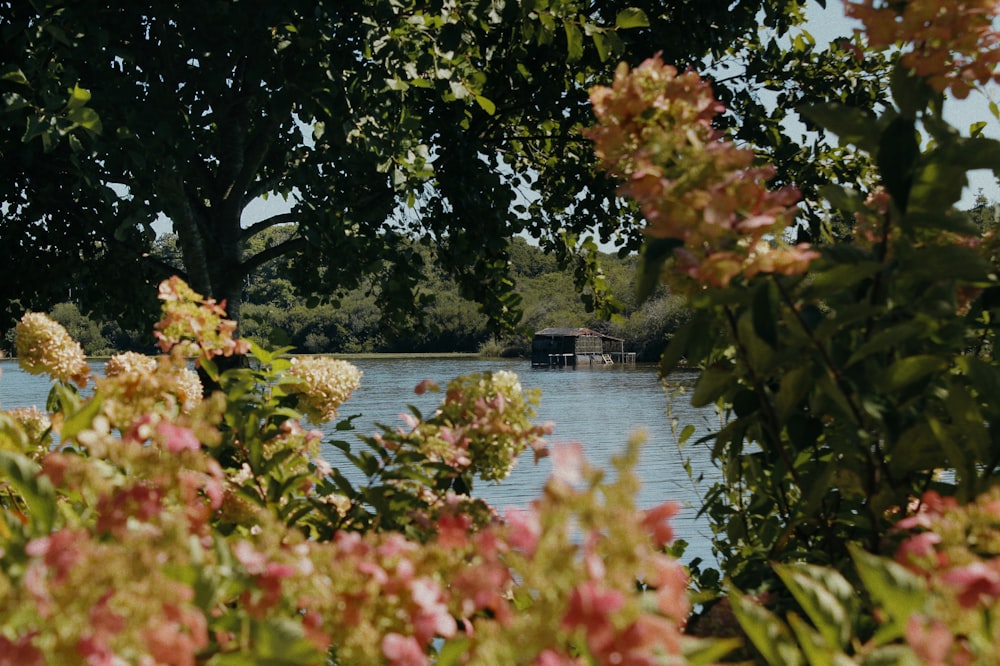 a body of water surrounded by trees and flowers