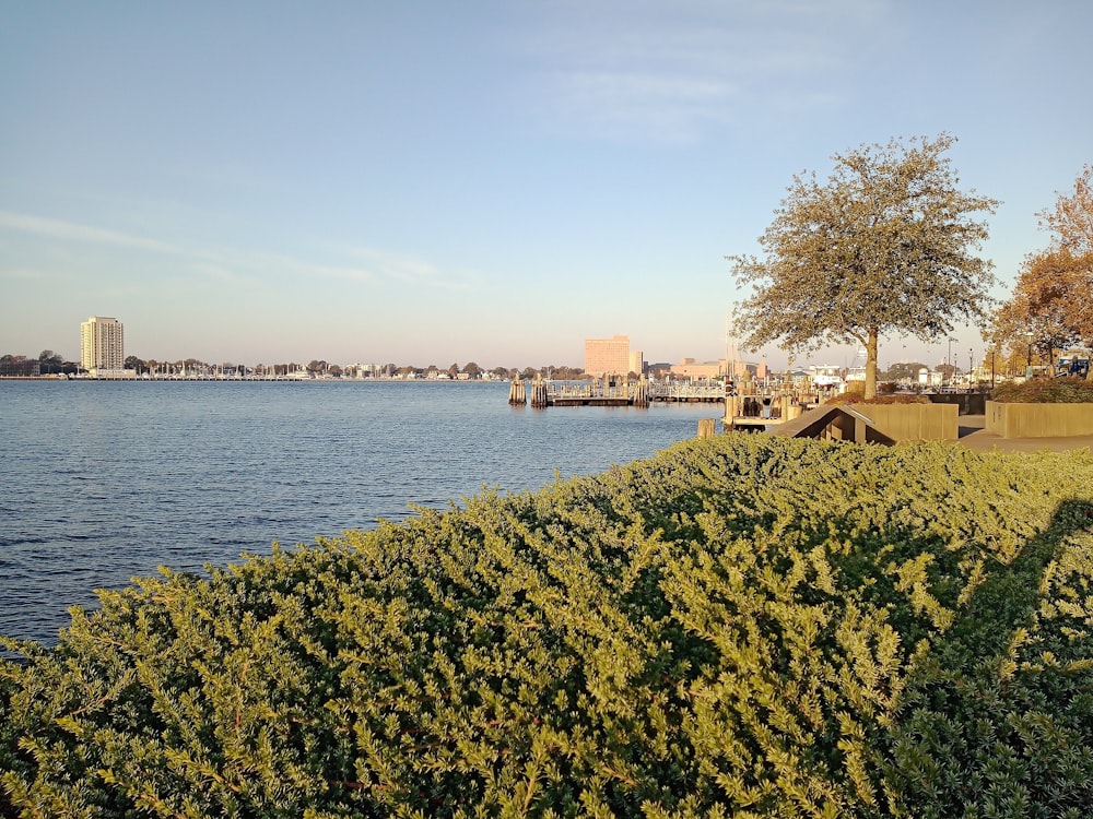 a body of water with a bridge in the background