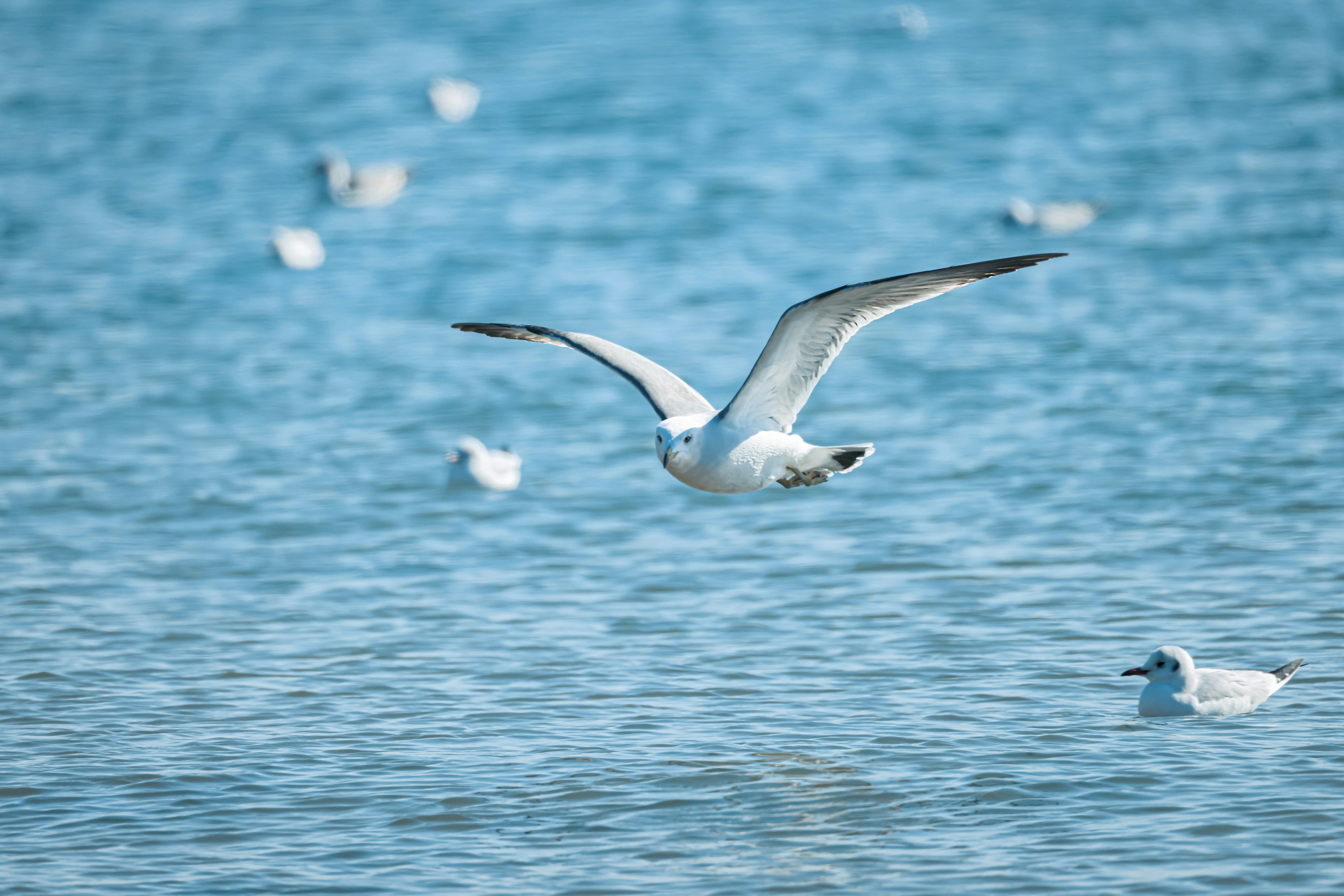 Photo by arttoinspire