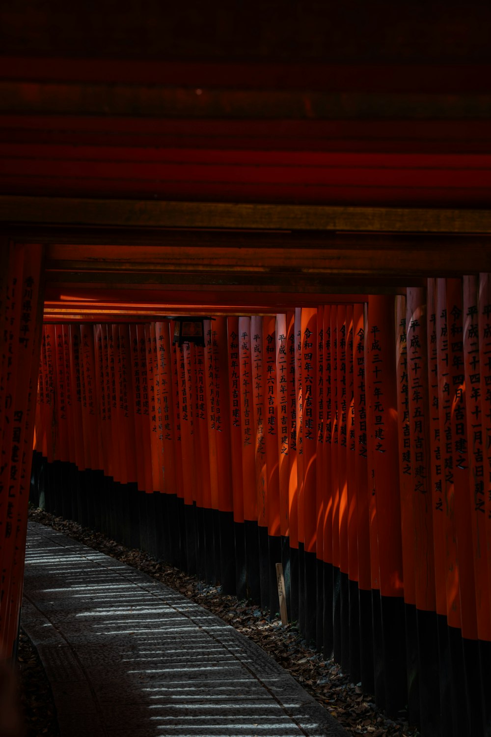 a row of red and black umbrellas in a building