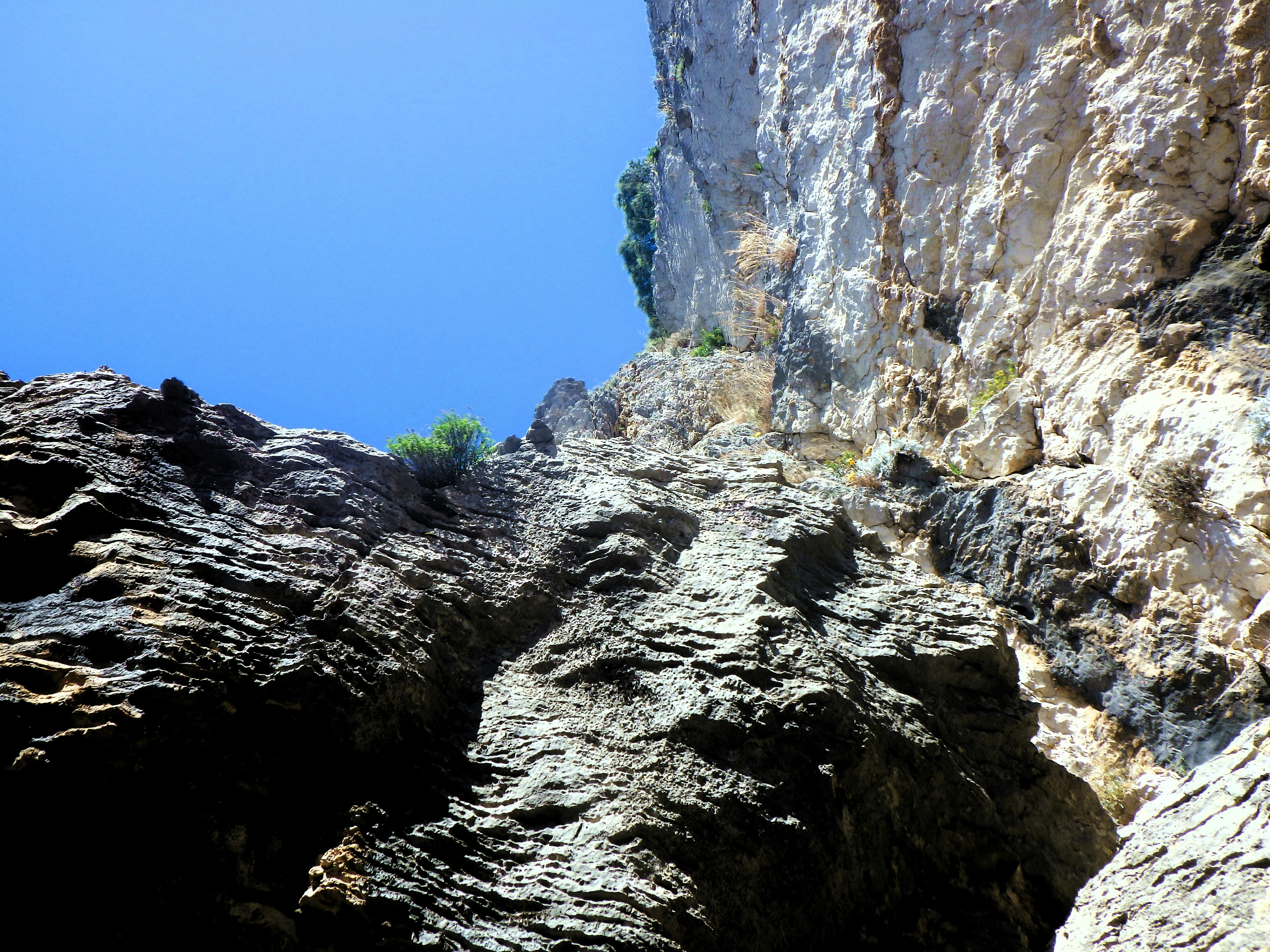 Photo by dominapetric