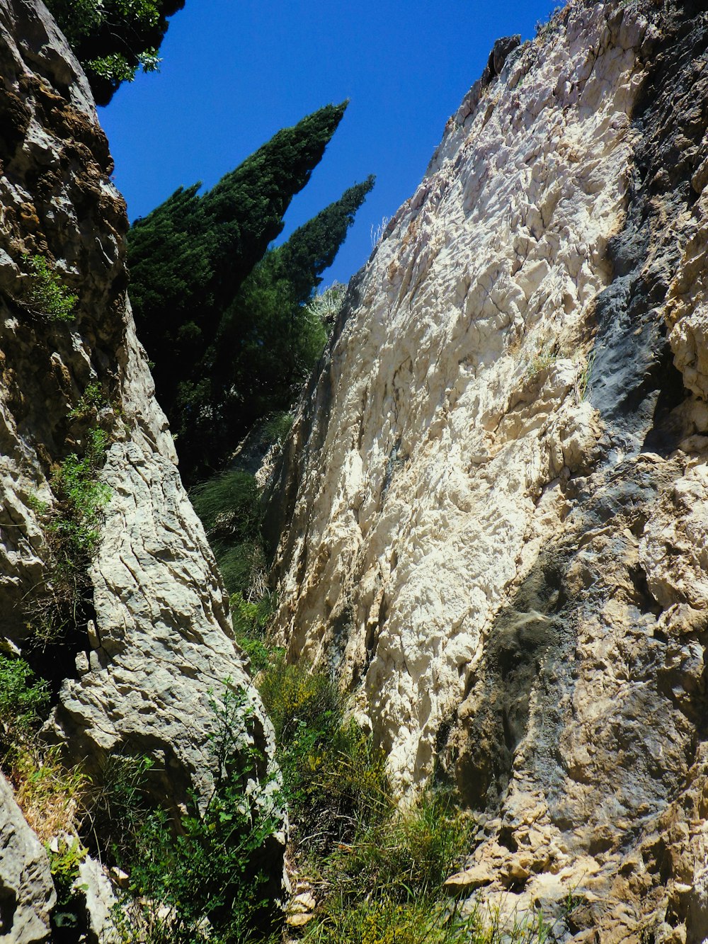 a view of a rocky mountain side with trees on the side