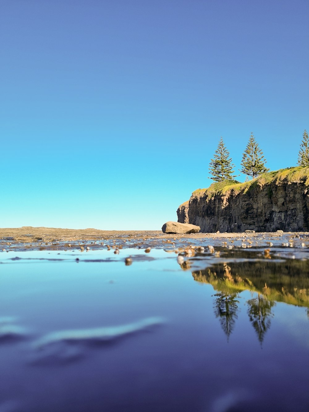 a body of water surrounded by trees and rocks