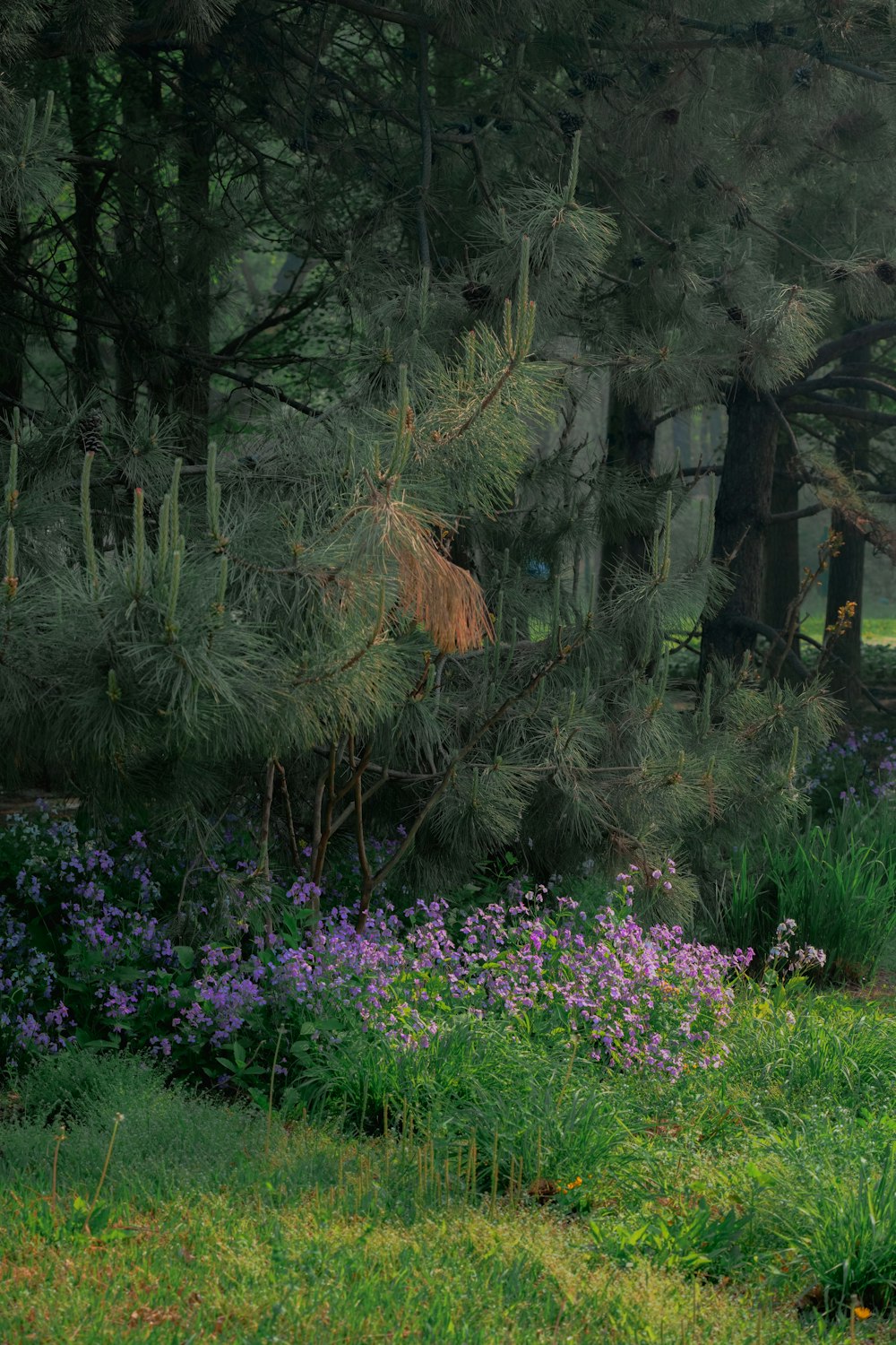 a bench in the middle of a garden with purple flowers