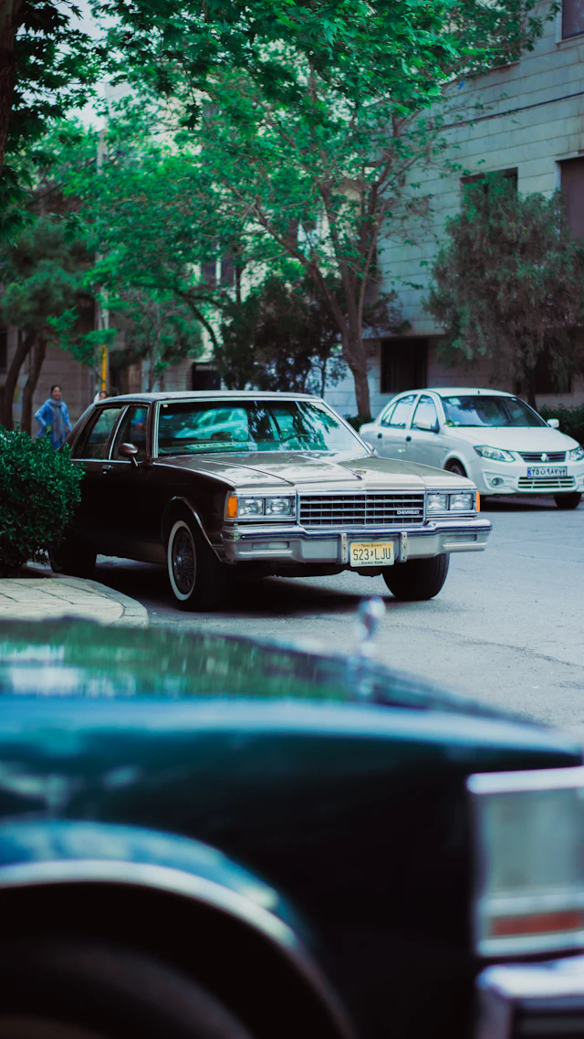 Classic car parked at the roadside