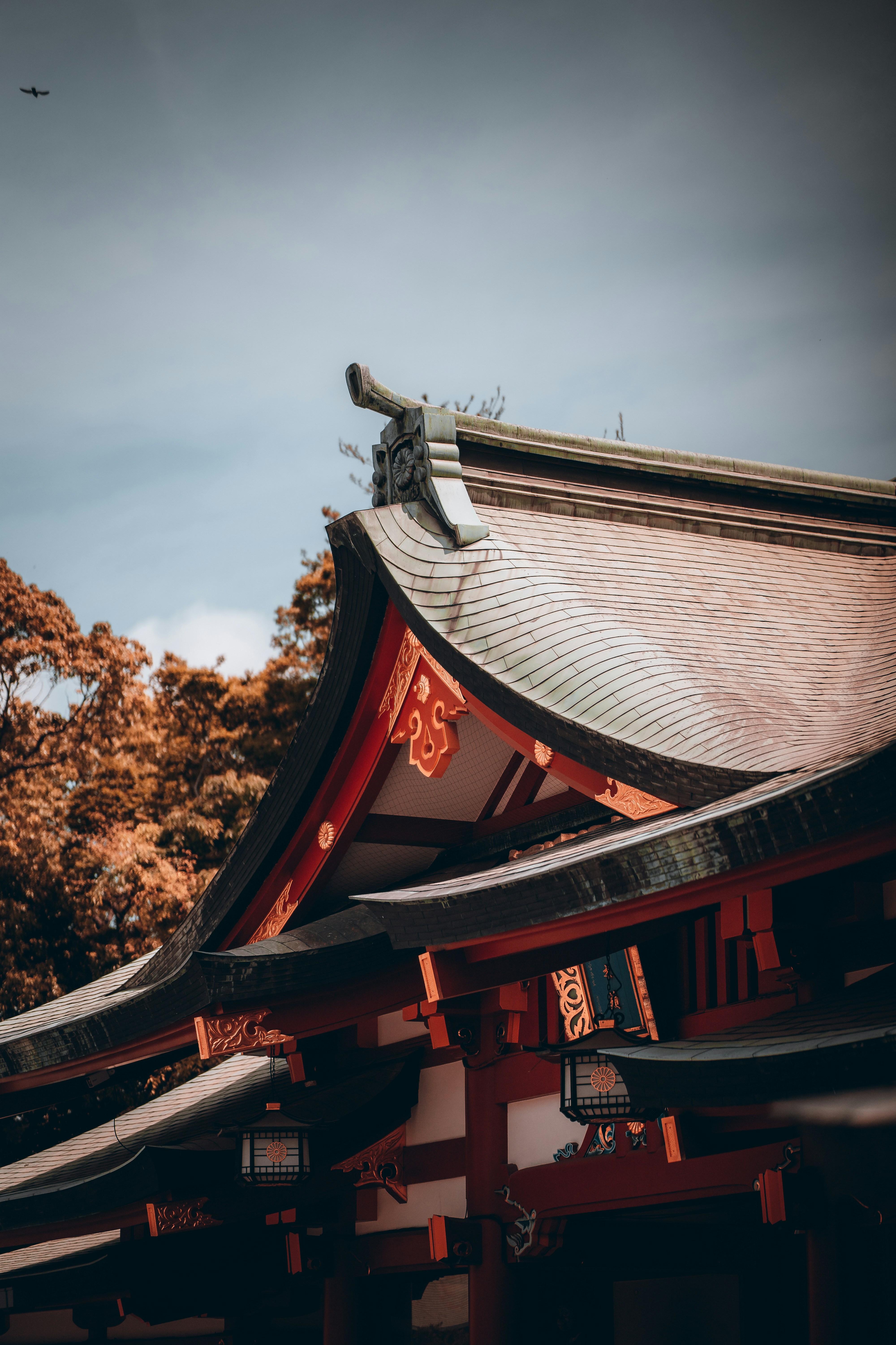 Photo by shields_mcmxcix