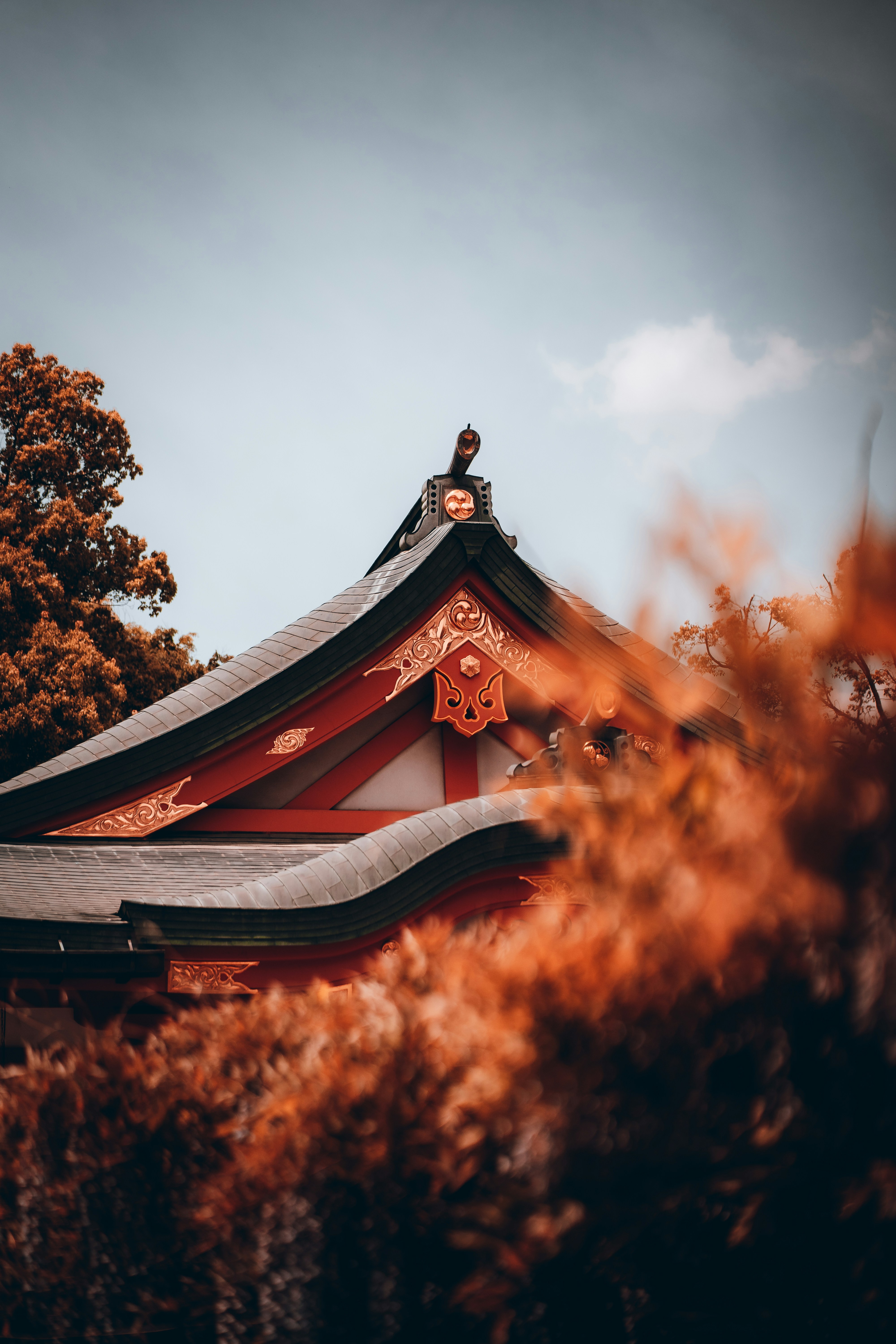鳥が乗っている建物の屋根