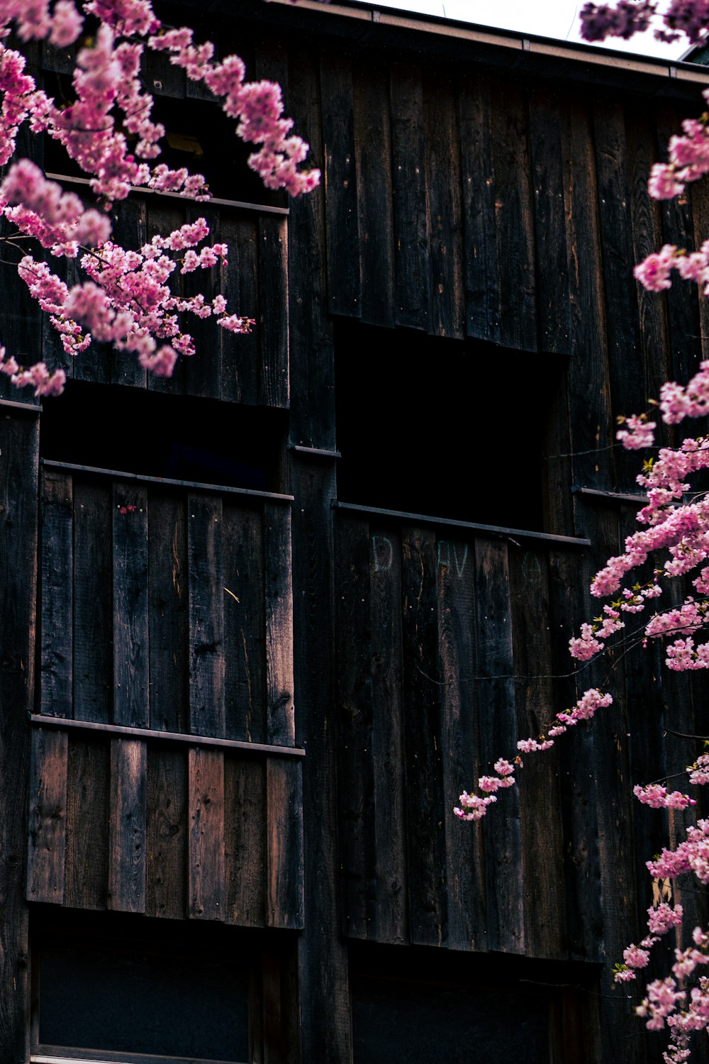 a wooden building with a bunch of pink flowers in front of it