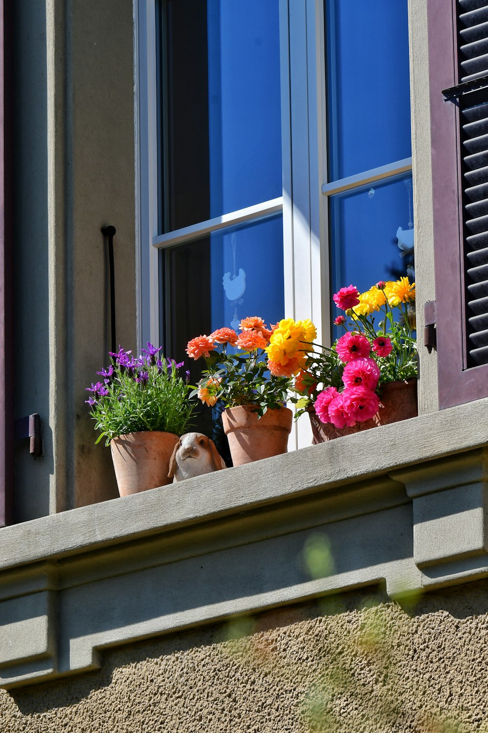 a couple of potted plants sitting on a window sill