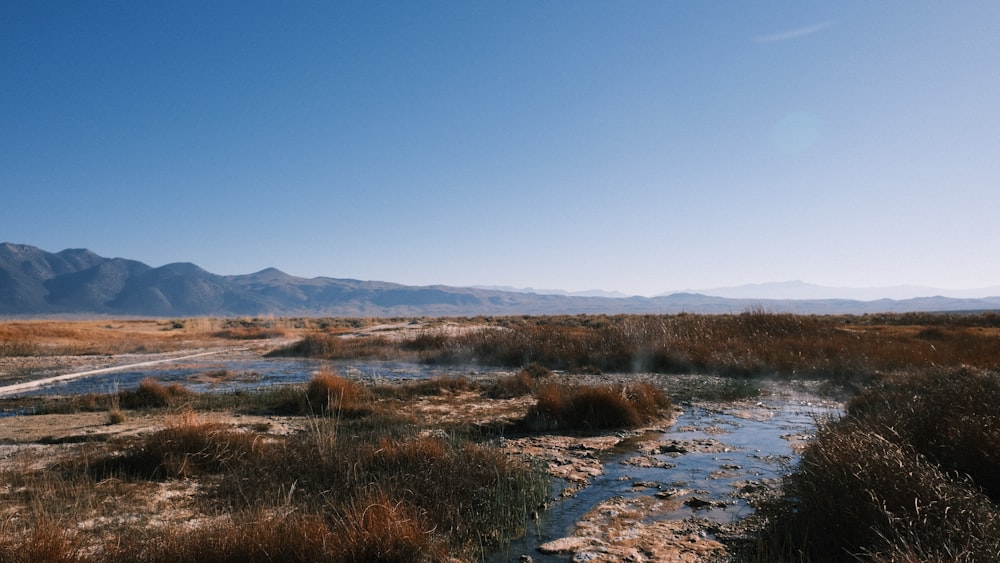 a river running through a dry grass covered field