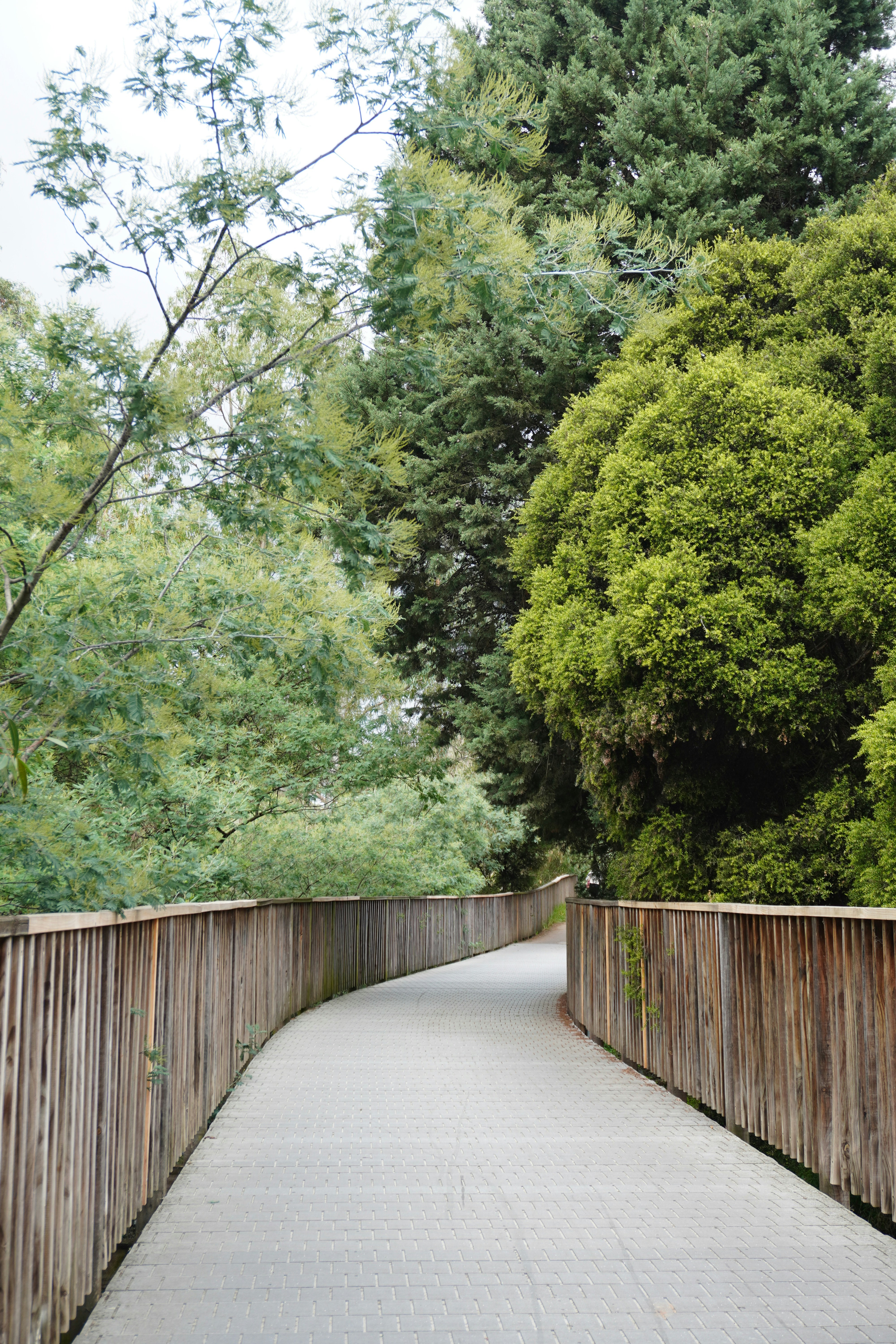 Photo by cherrymacherie