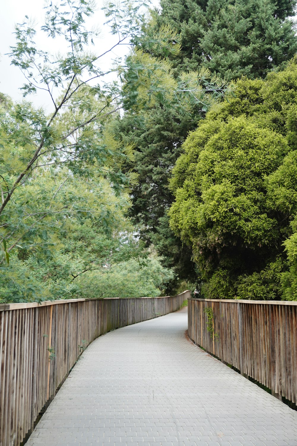 a wooden walkway with a wooden fence and trees in the background
