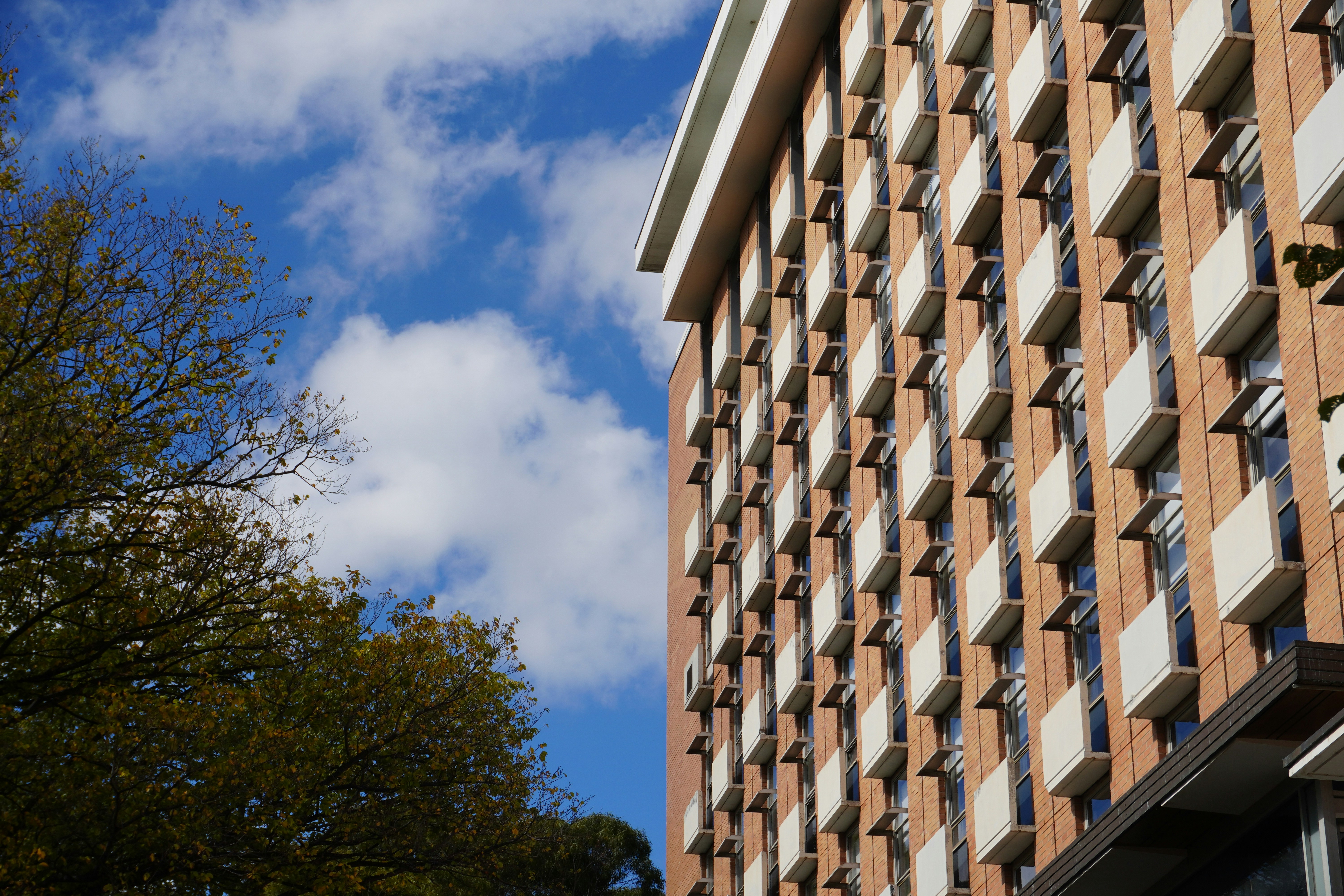 a tall brick building sitting next to a tree