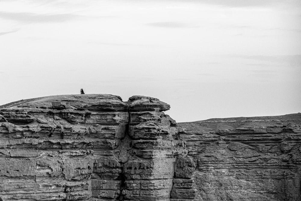 a black and white photo of a person standing on top of a cliff