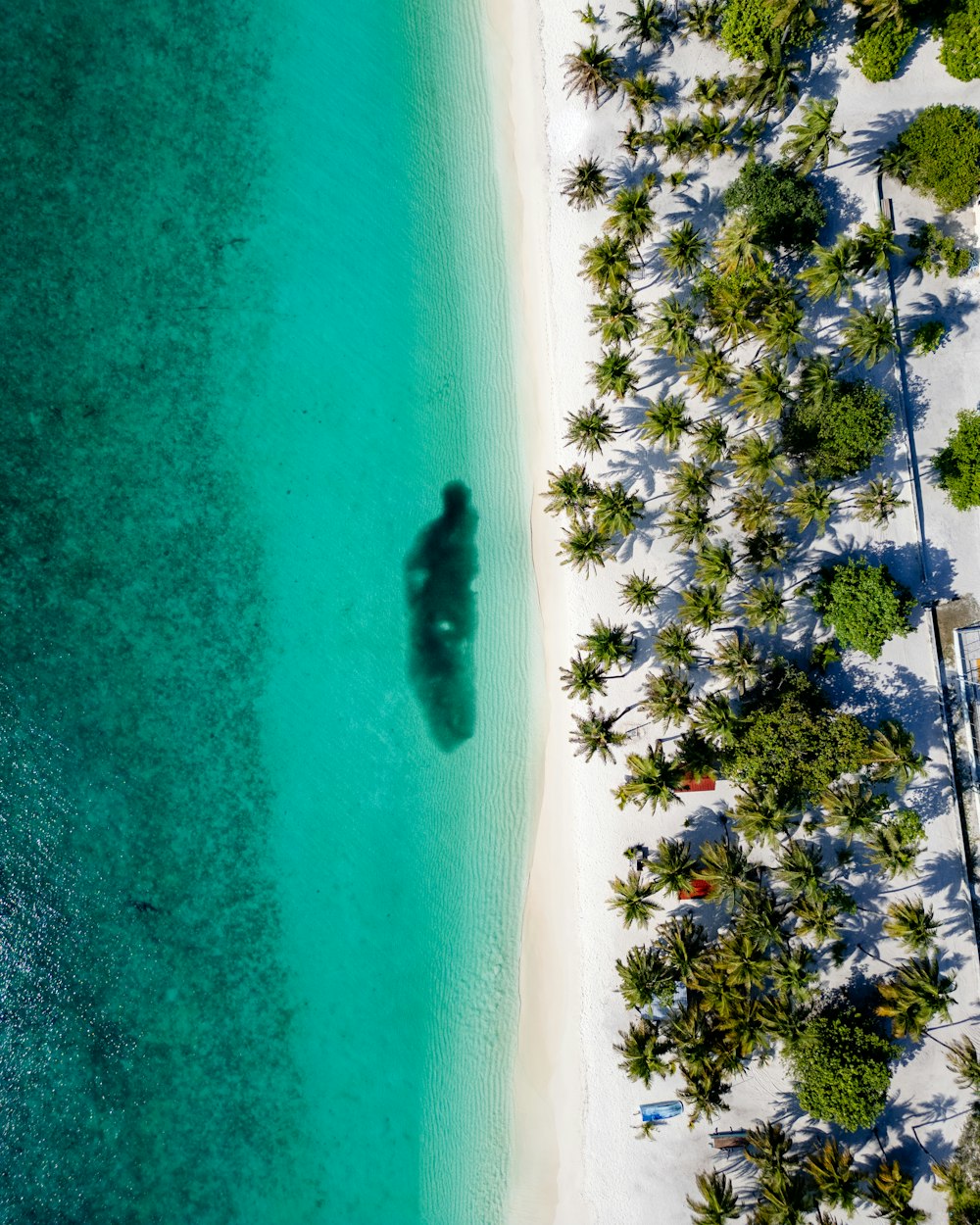 an aerial view of a sandy beach with palm trees