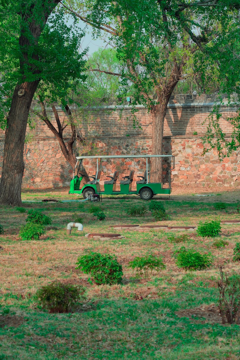 a green golf cart parked next to a tree