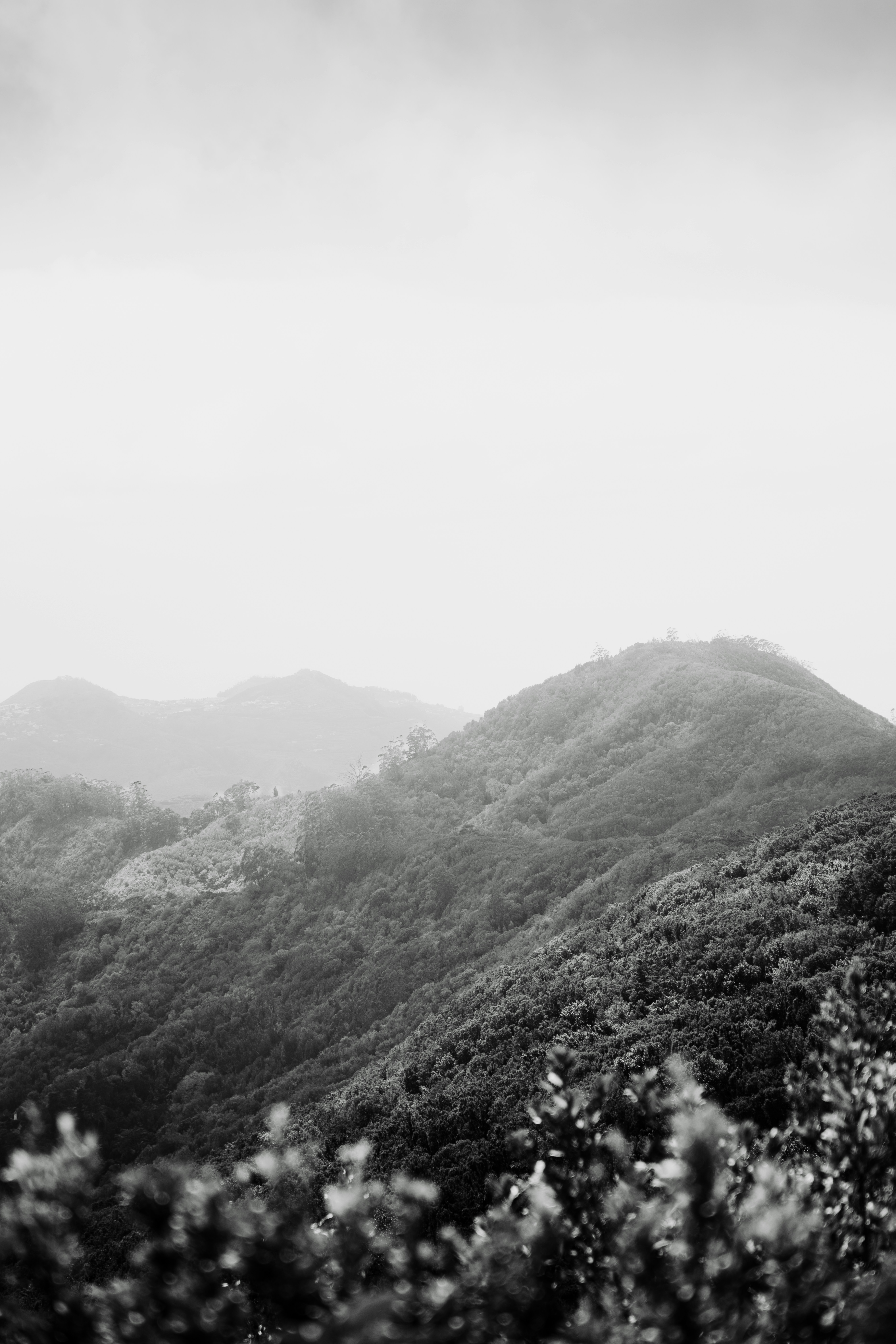 Photo by infernisvox