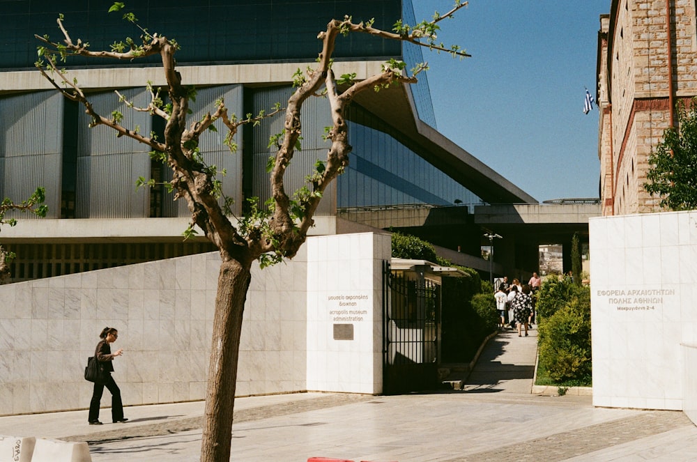 a man walking down a sidewalk next to a tree