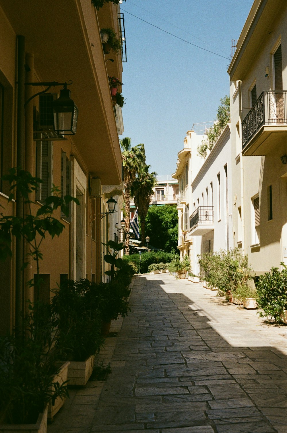 a cobblestone street lined with buildings and potted plants