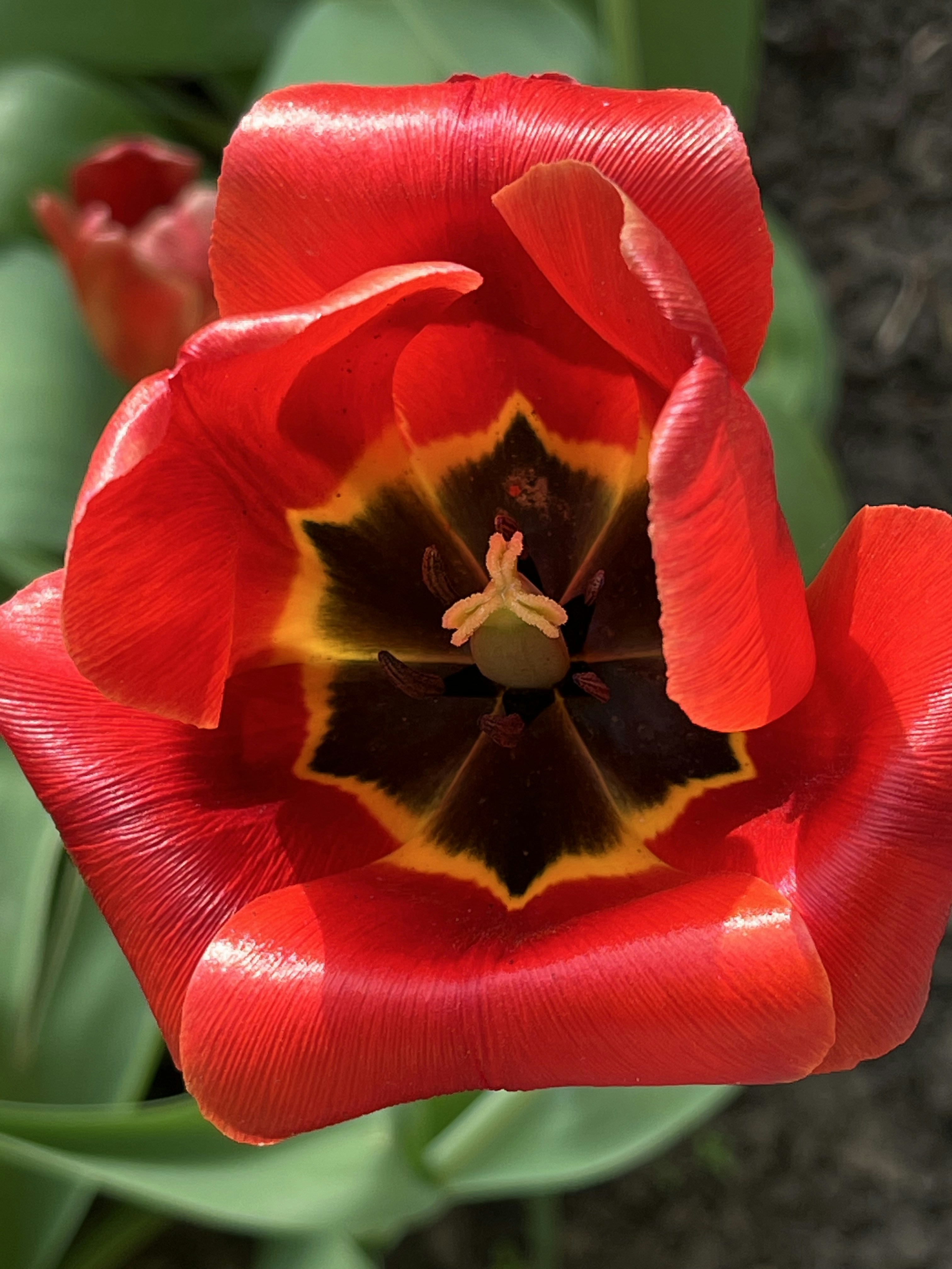 Photo by katrin_bloom