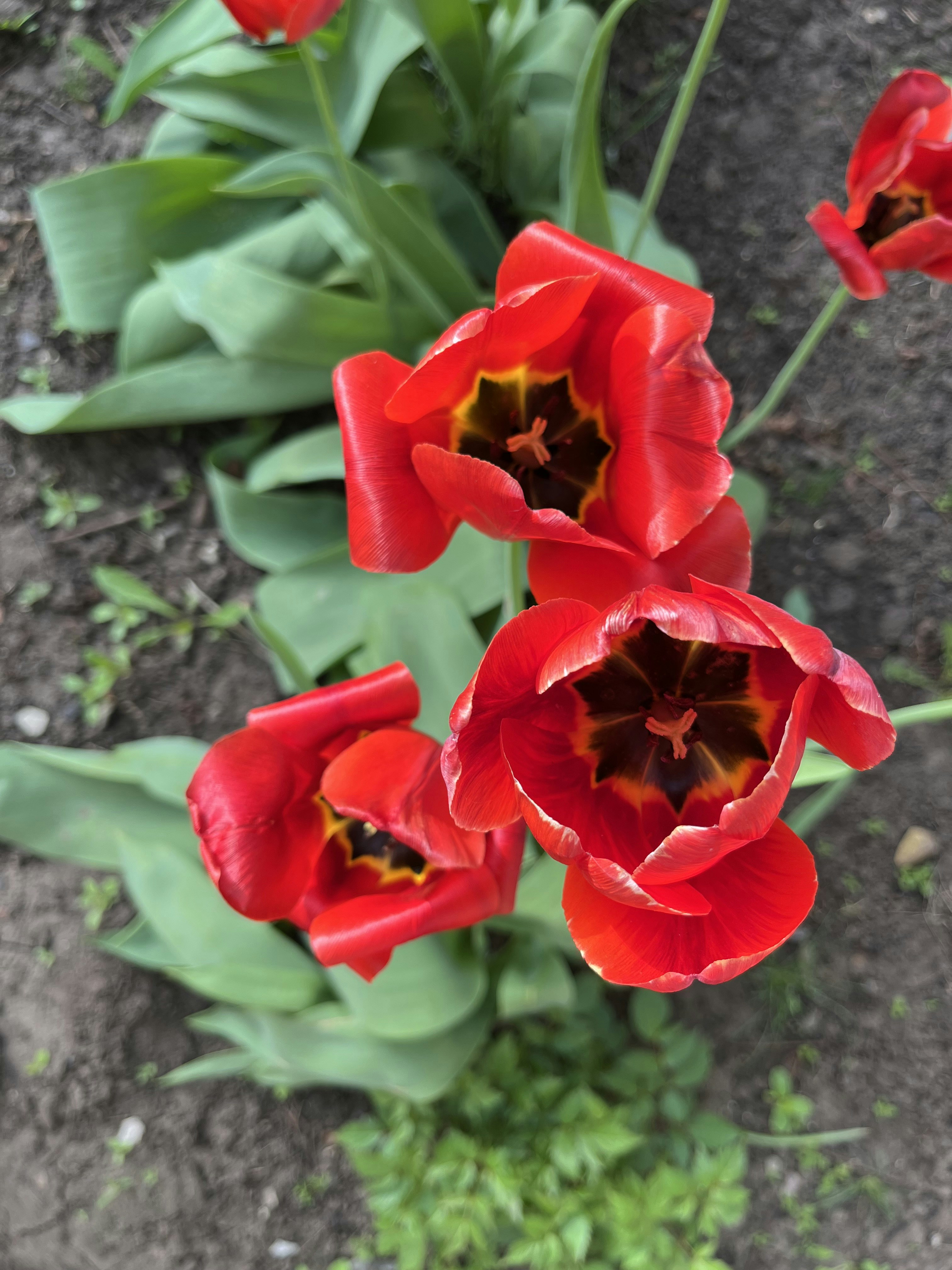 Photo by katrin_bloom