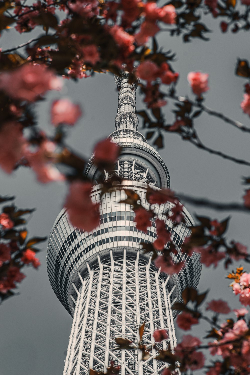 a very tall building with a very pretty tree in front of it