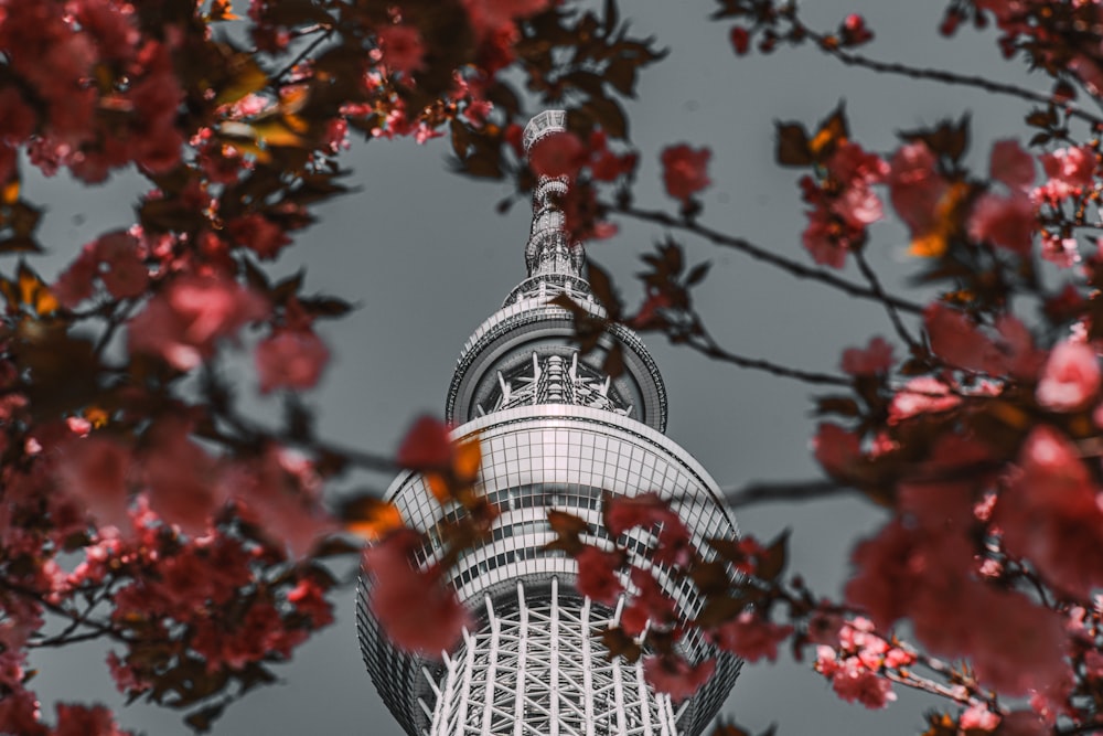 a very tall tower with a very pretty tree in front of it